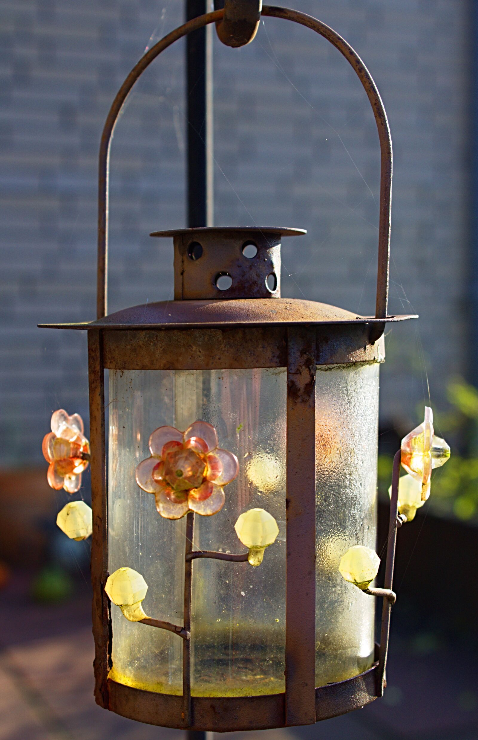 Canon EOS 600D (Rebel EOS T3i / EOS Kiss X5) sample photo. Lamp, outdoor, light photography