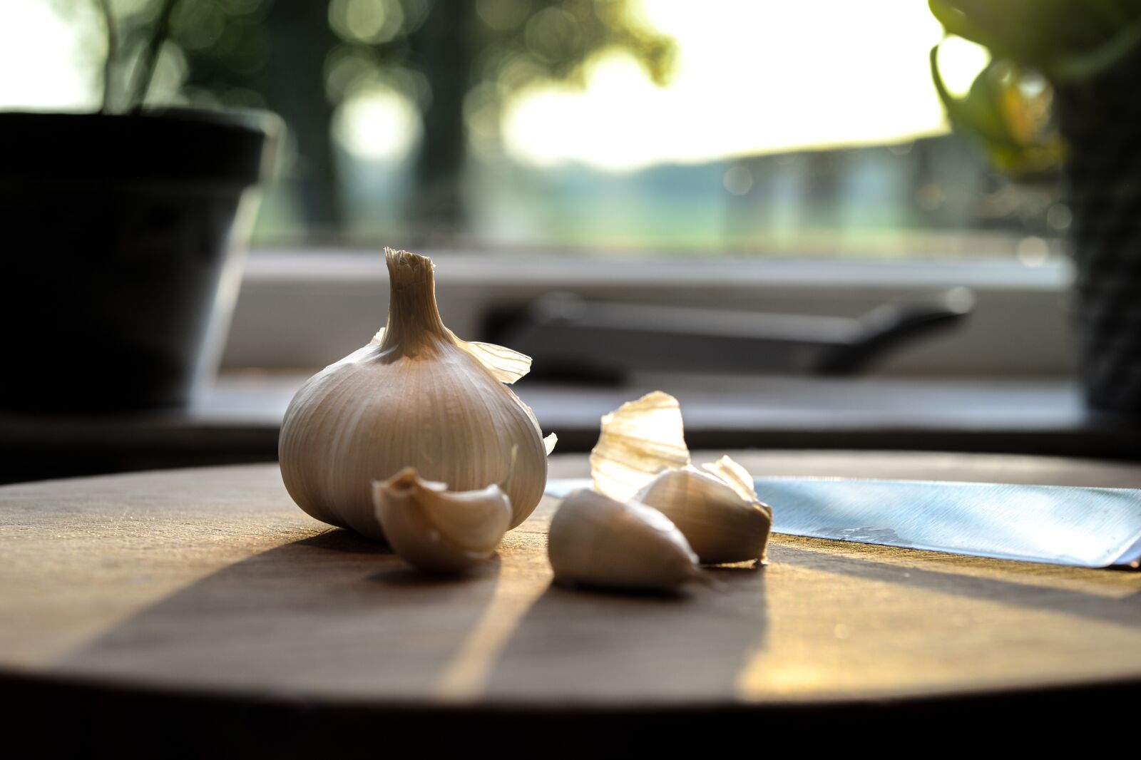 Nikon D610 sample photo. Garlic, kitchen, food photography