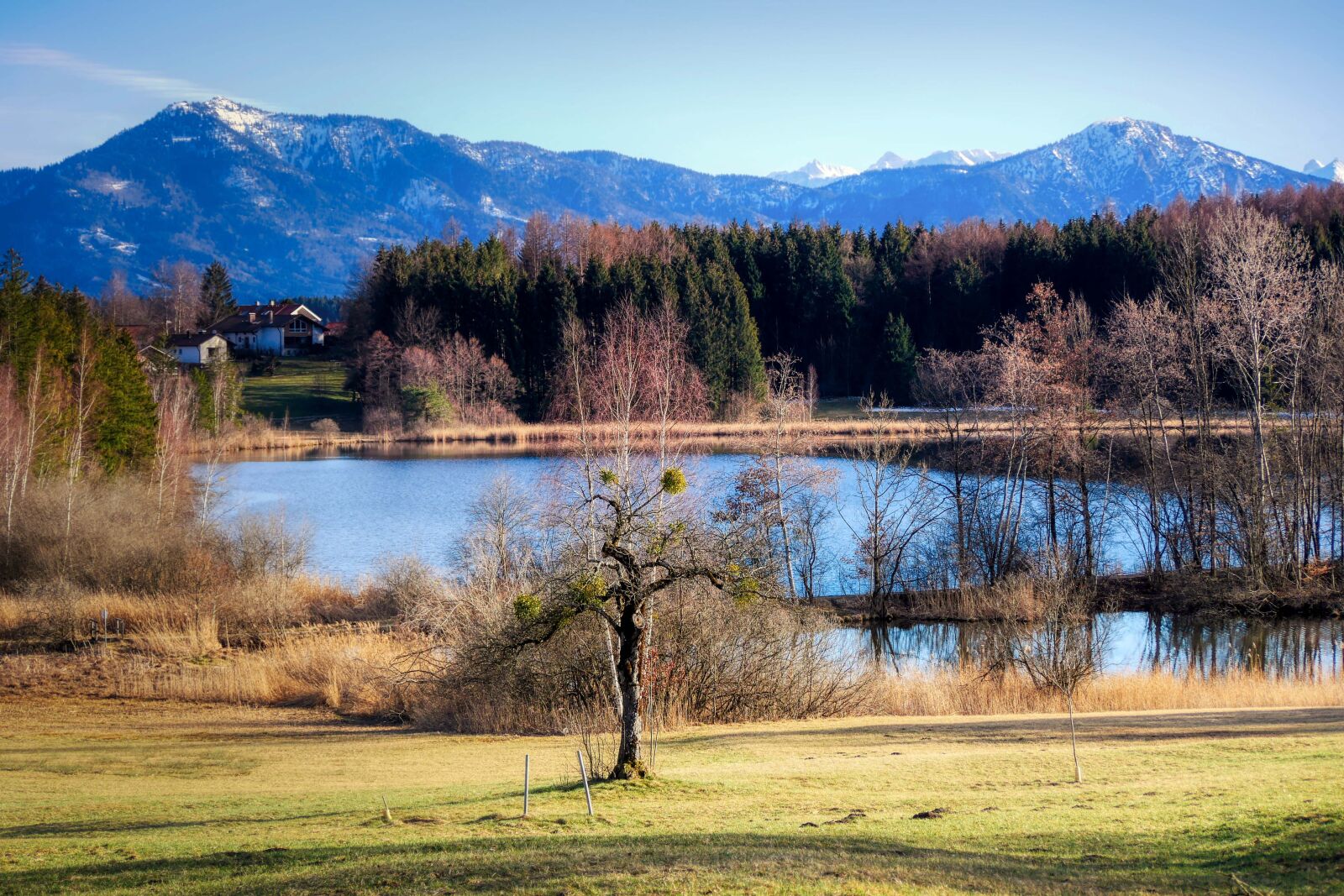 Panasonic Lumix DMC-GX8 sample photo. Landscape, lake, nature photography