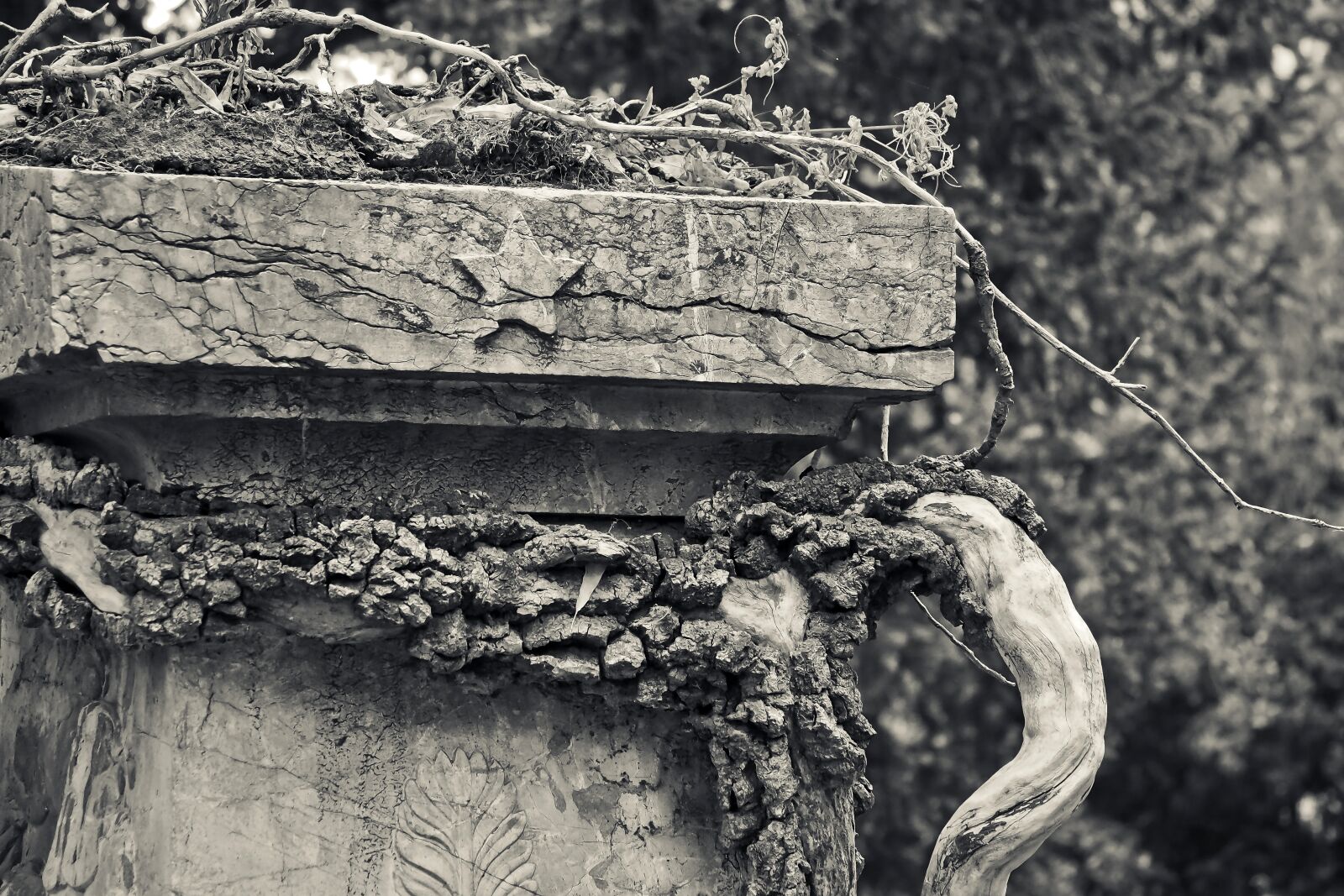 Olympus OM-D E-M10 sample photo. Tombstone, grave, cemetery photography