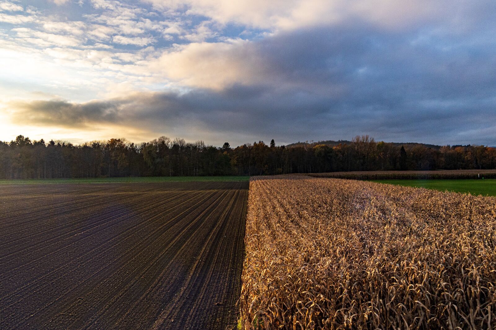 Canon EOS R sample photo. Mood, clouds, weather photography