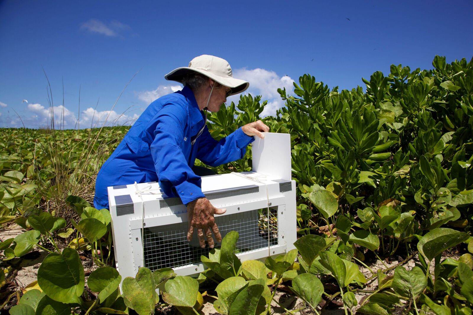 Canon EOS 5D Mark II sample photo. Woman, white hat, field photography