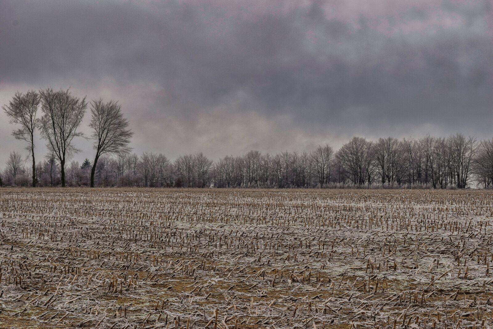 Nikon D3300 sample photo. Landscape, nature, winter photography