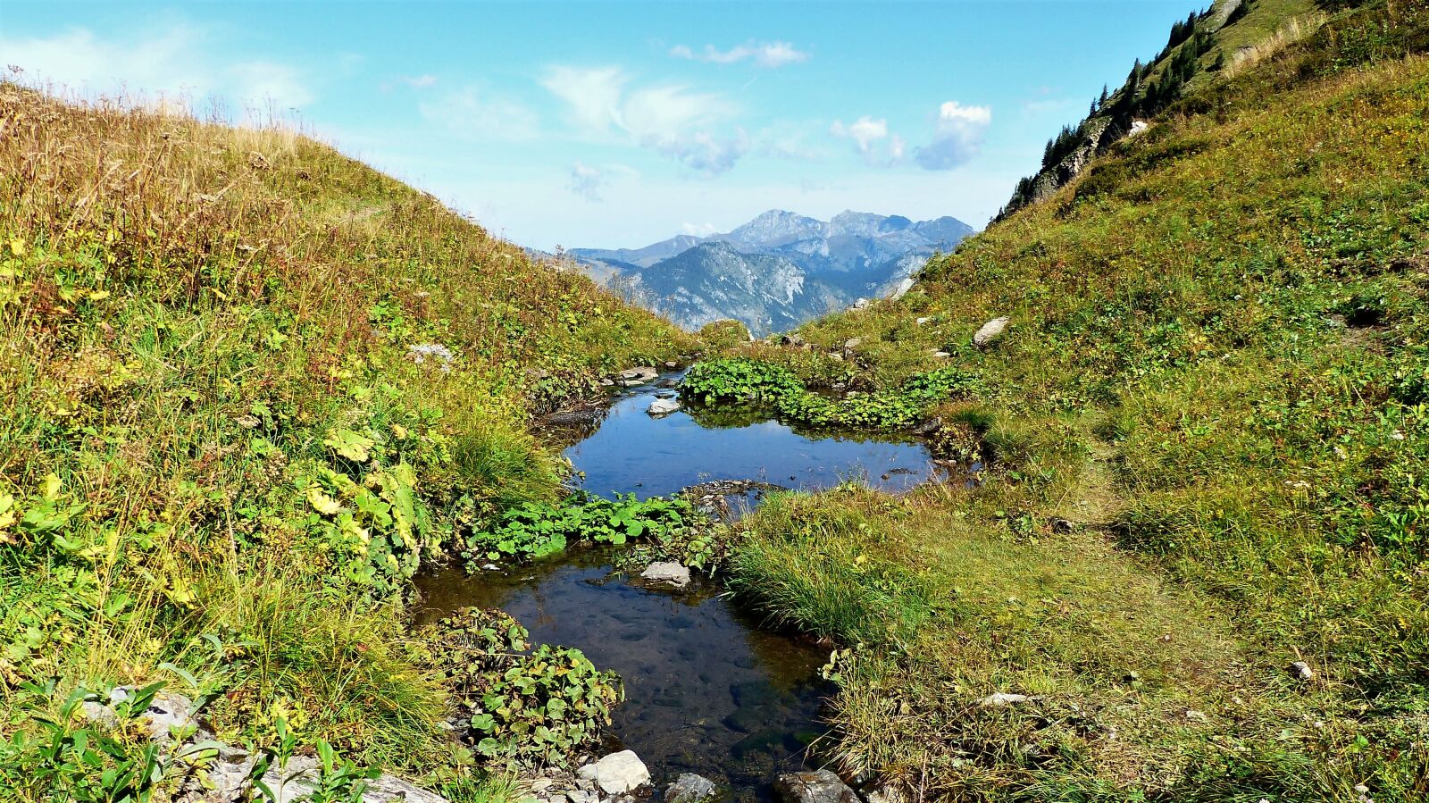 Panasonic Lumix DMC-FZ200 sample photo. Nature, landscape, alpine photography