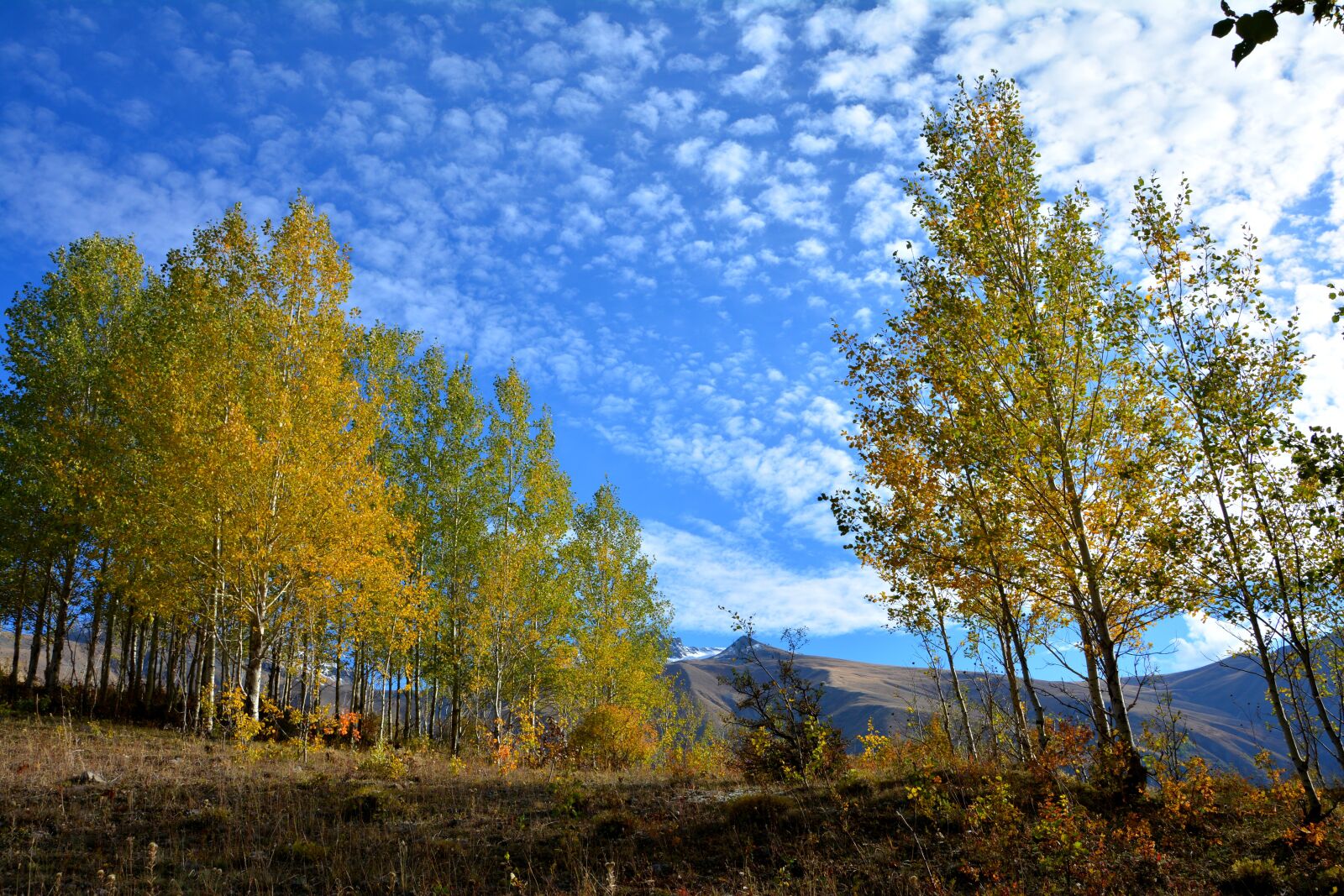 Nikon D7100 sample photo. Nature, landscape, kaçkars photography