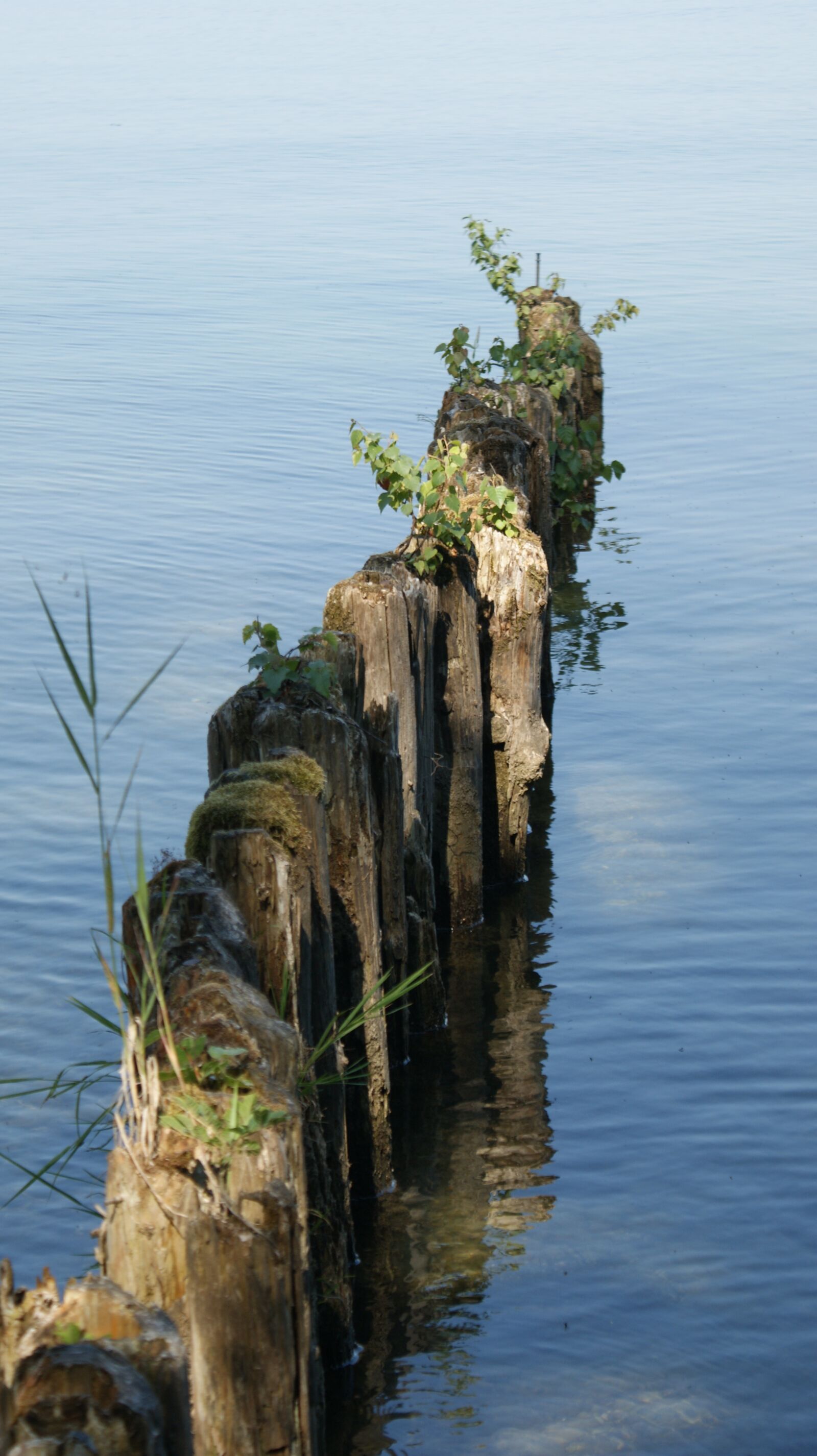 Sony Alpha DSLR-A350 sample photo. Lake, strains, water photography