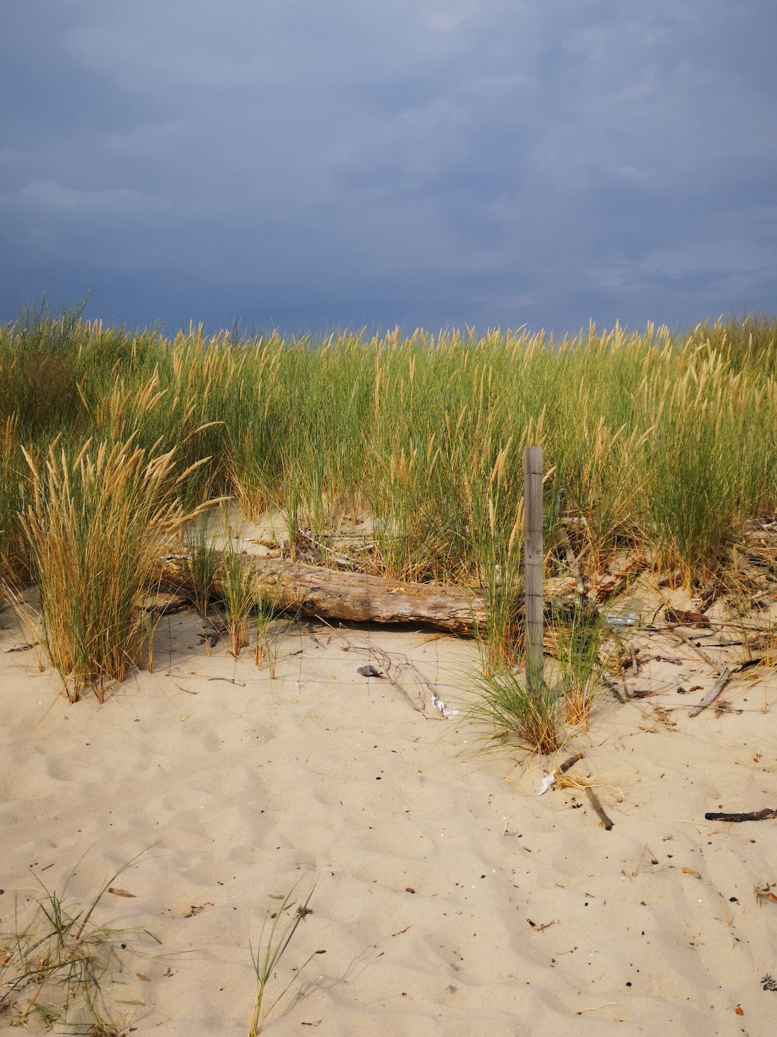 HUAWEI CLT-L29 sample photo. Sand, clouds, grass photography