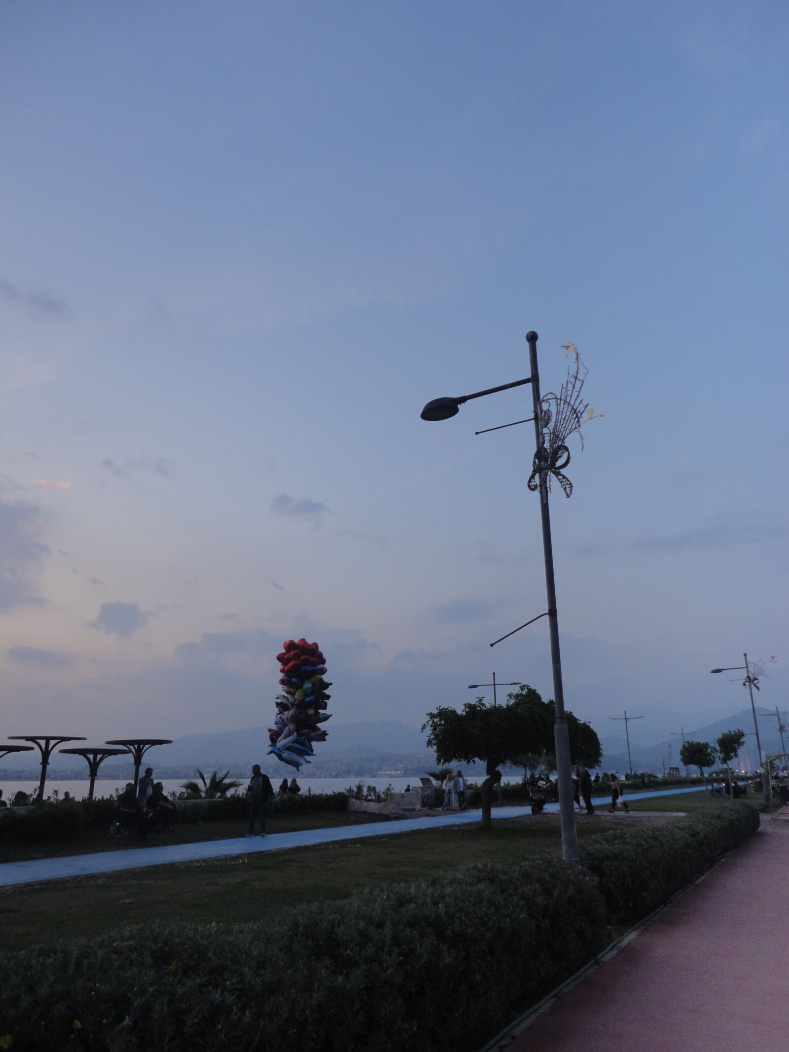 Sony Cyber-shot DSC-W350 sample photo