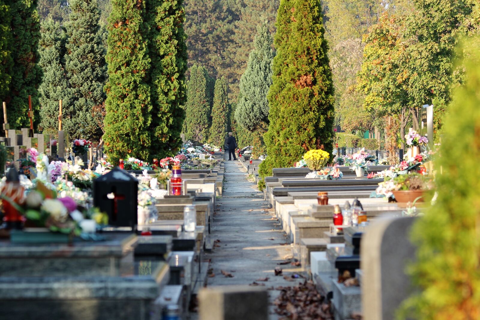 Canon EOS 600D (Rebel EOS T3i / EOS Kiss X5) sample photo. City cemetery zagreb, miro photography