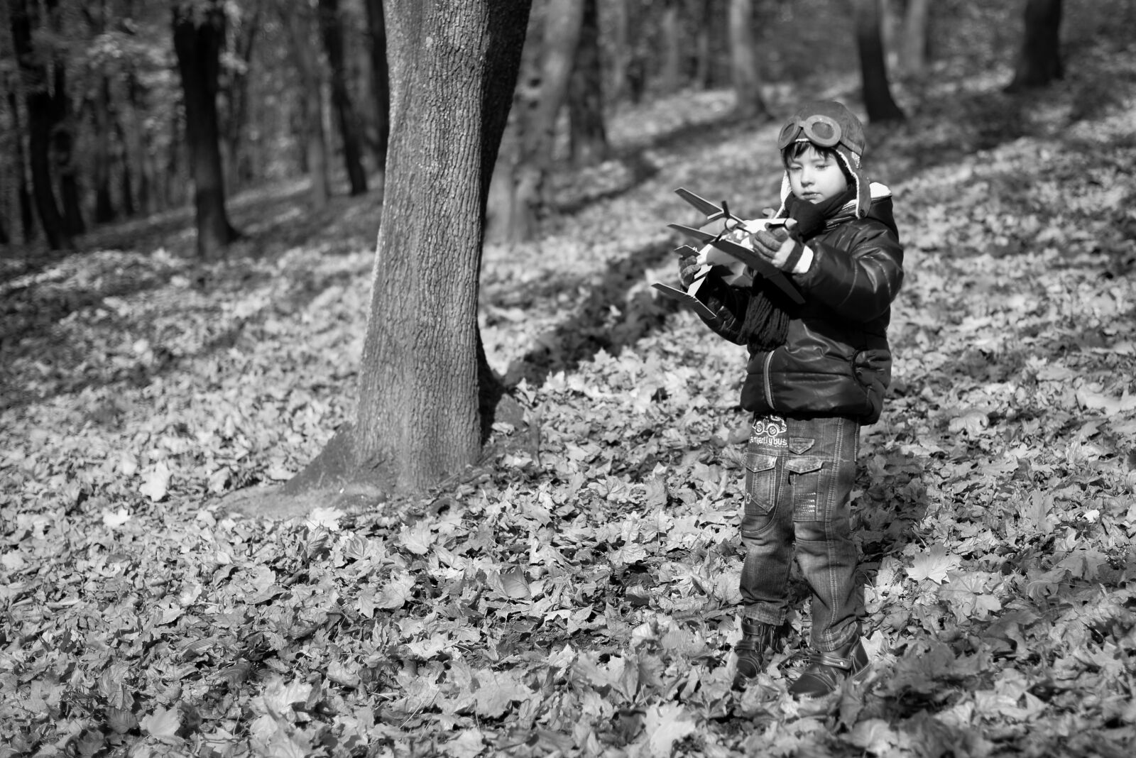 Nikon D610 sample photo. Boy, autumn, park photography