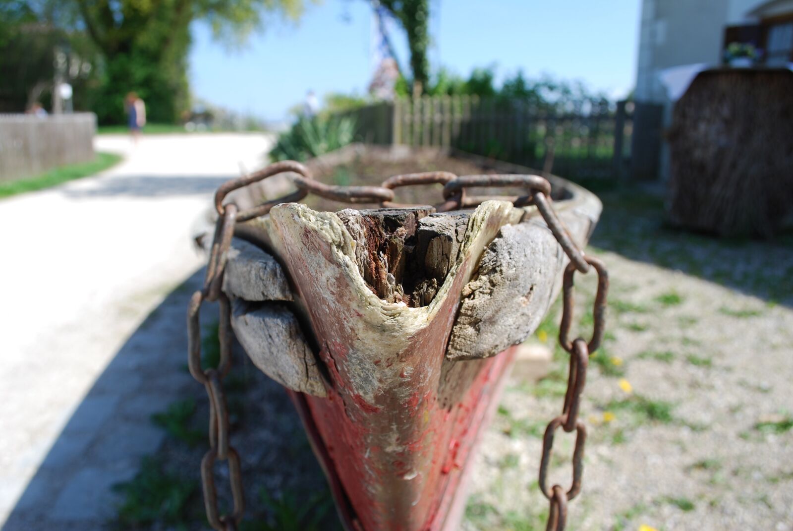 Nikon D60 sample photo. Nature, summer, travel photography