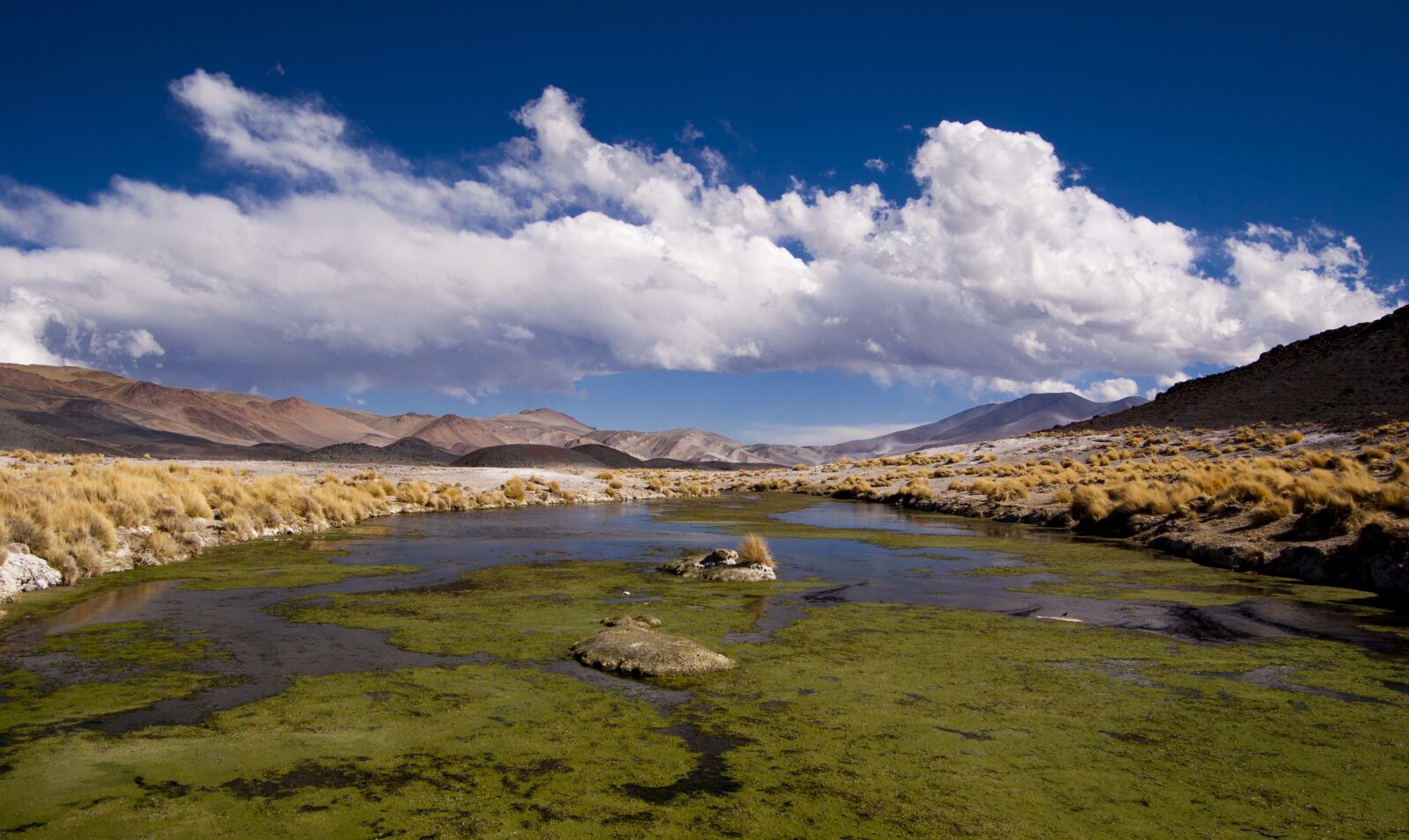 Nikon D40 sample photo. Mountain, argentina, nature photography