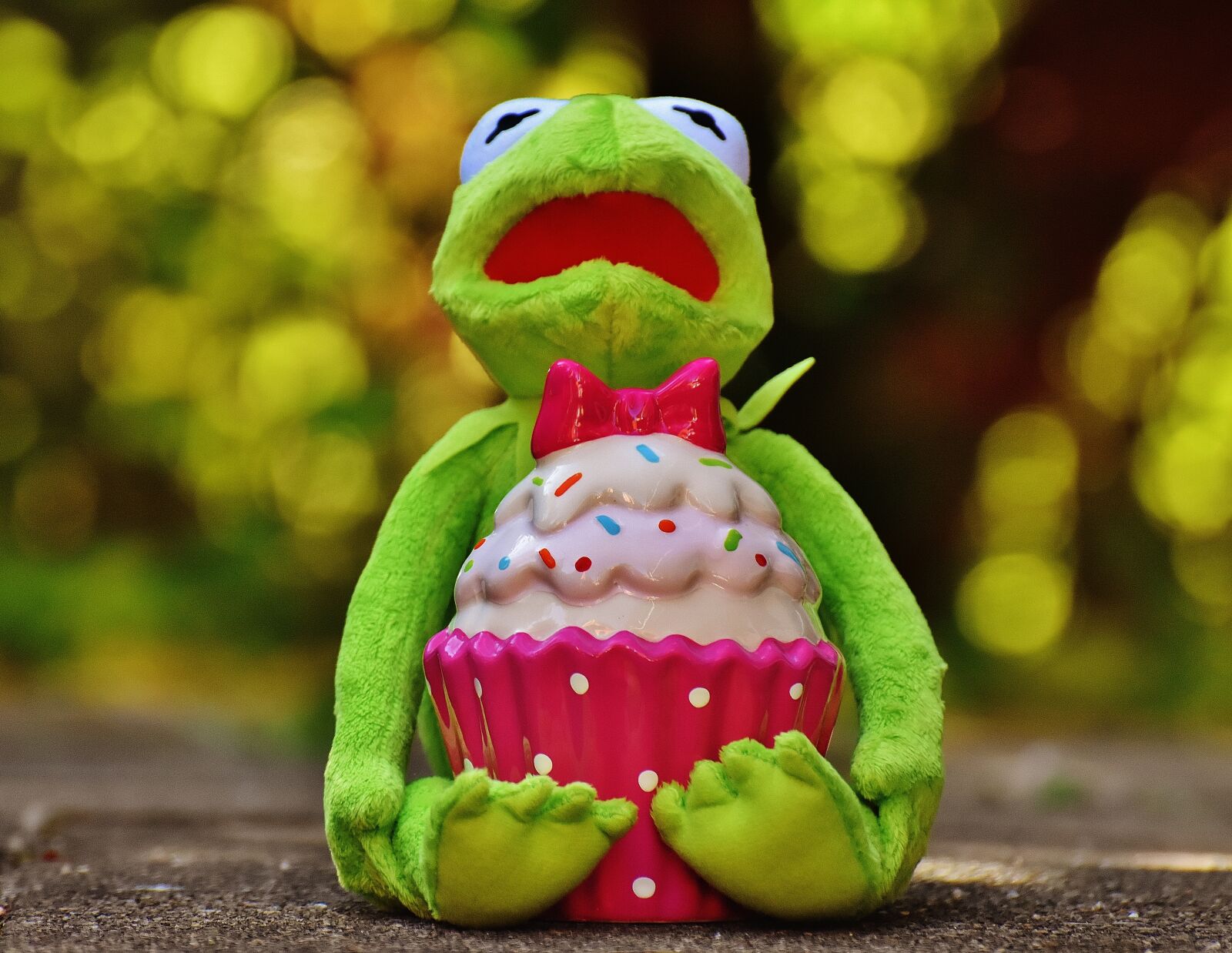 Nikon D7200 sample photo. Kermit, frog, cupcake photography