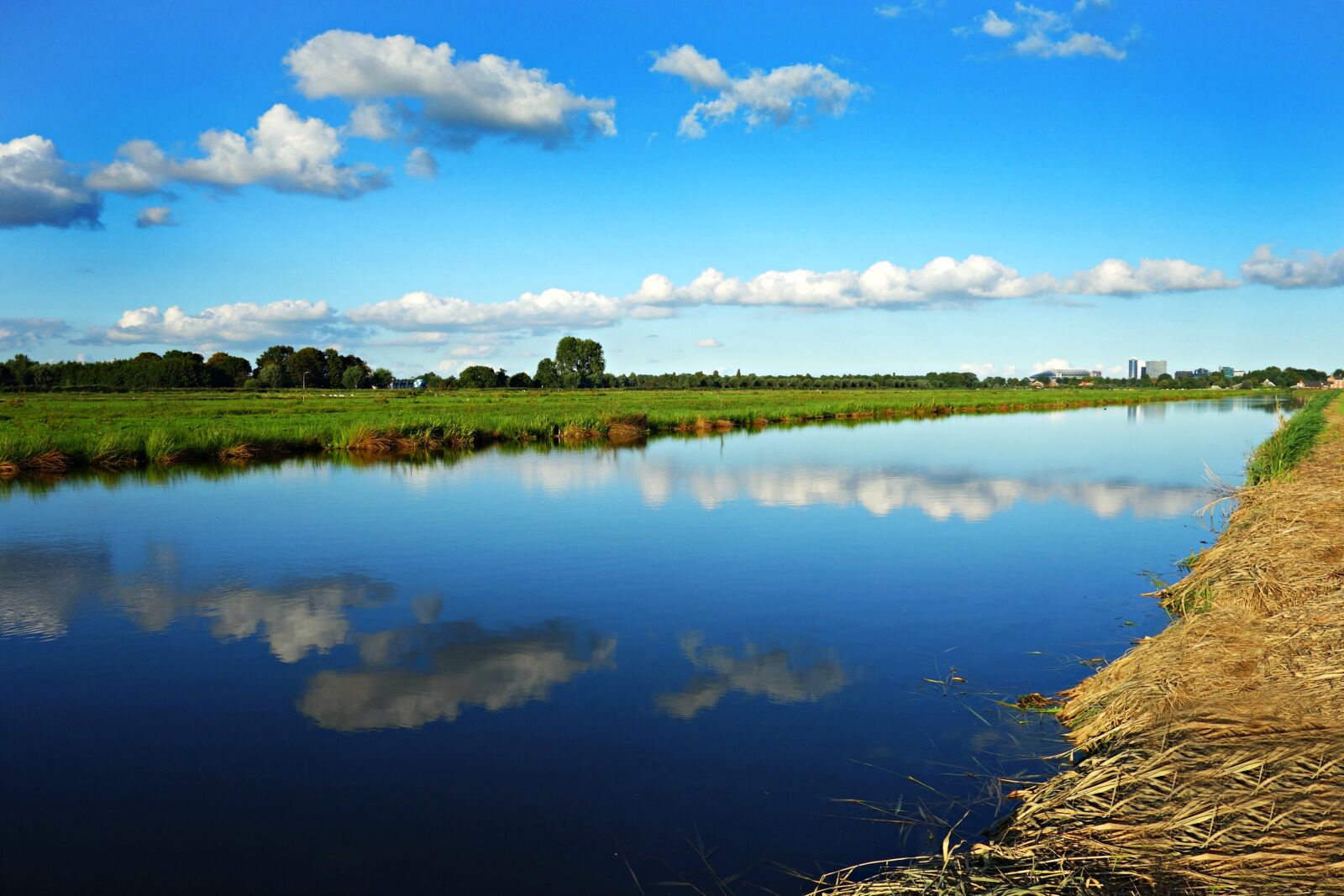 Sony Cyber-shot DSC-RX100 sample photo. Landscape, holland, dutch landscape photography