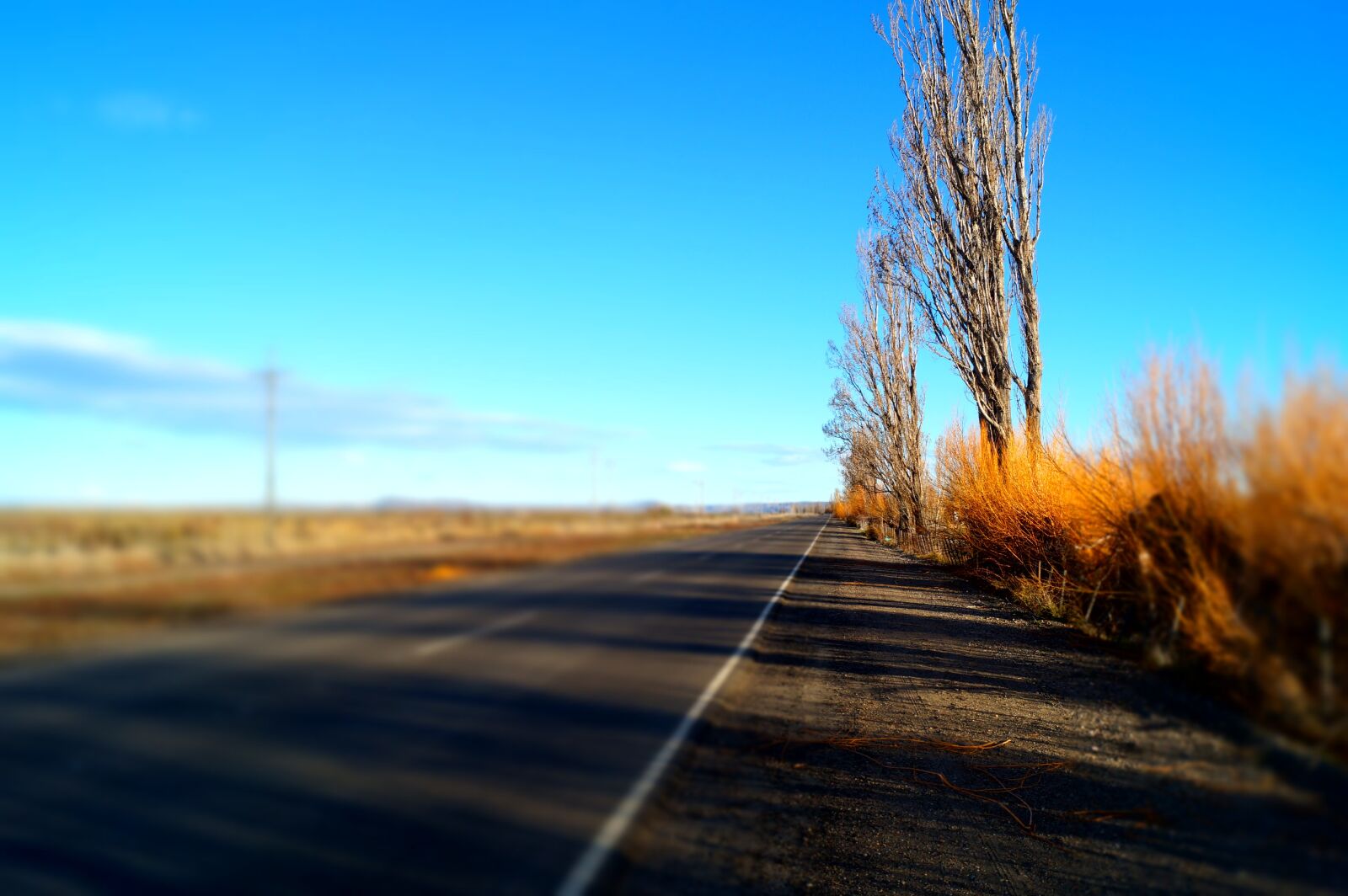 Sony DT 18-55mm F3.5-5.6 SAM II sample photo. Autumn, road, argentina photography