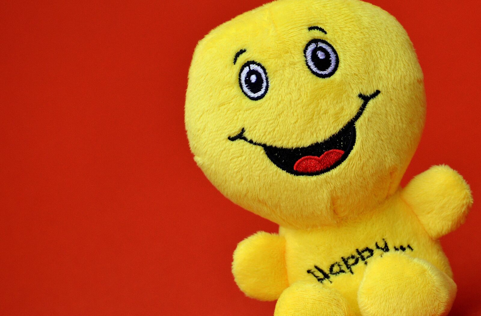 Nikon D3200 sample photo. Smiley, happy, funny photography