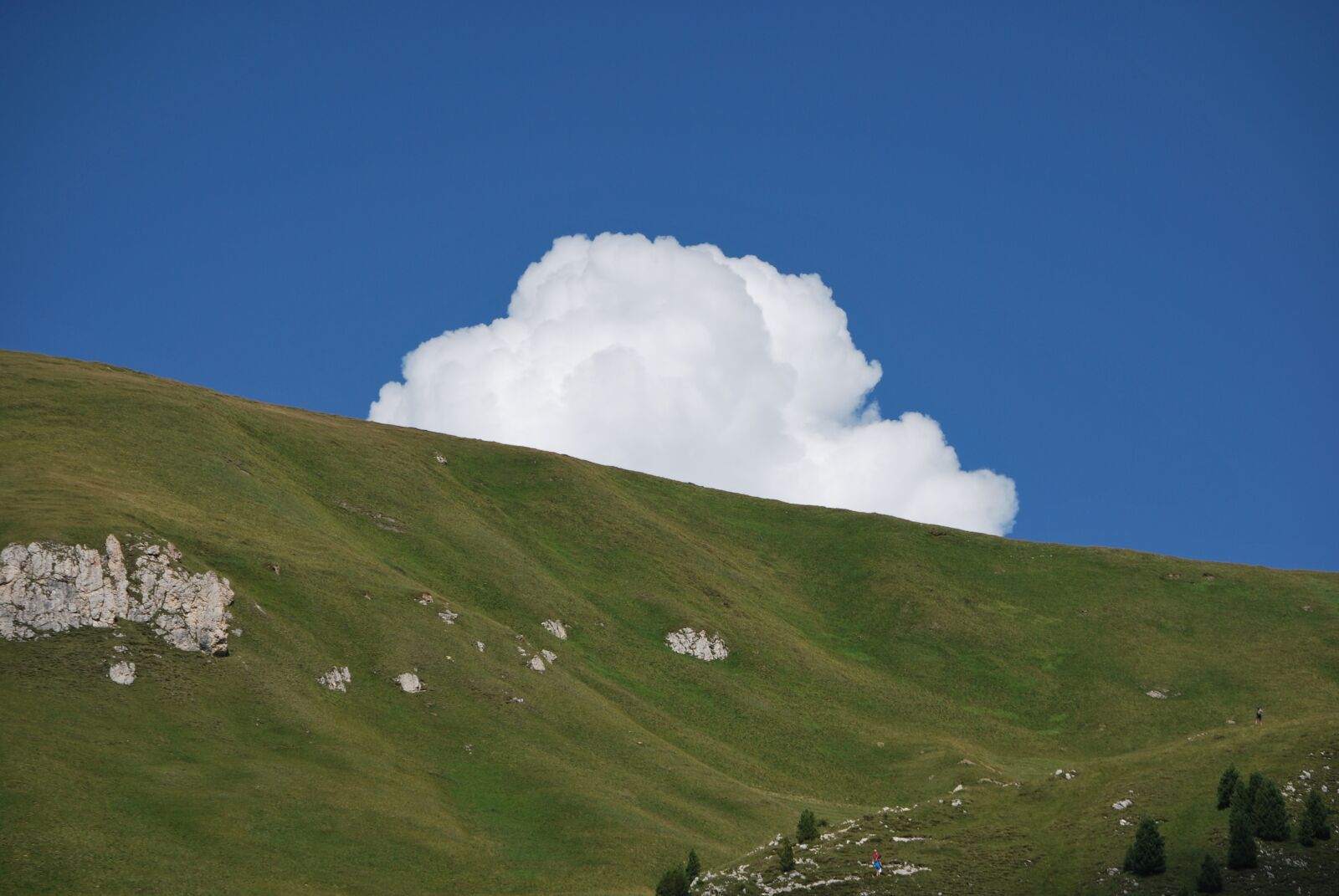 Nikon D60 sample photo. Nature, landscape, panoramic photography