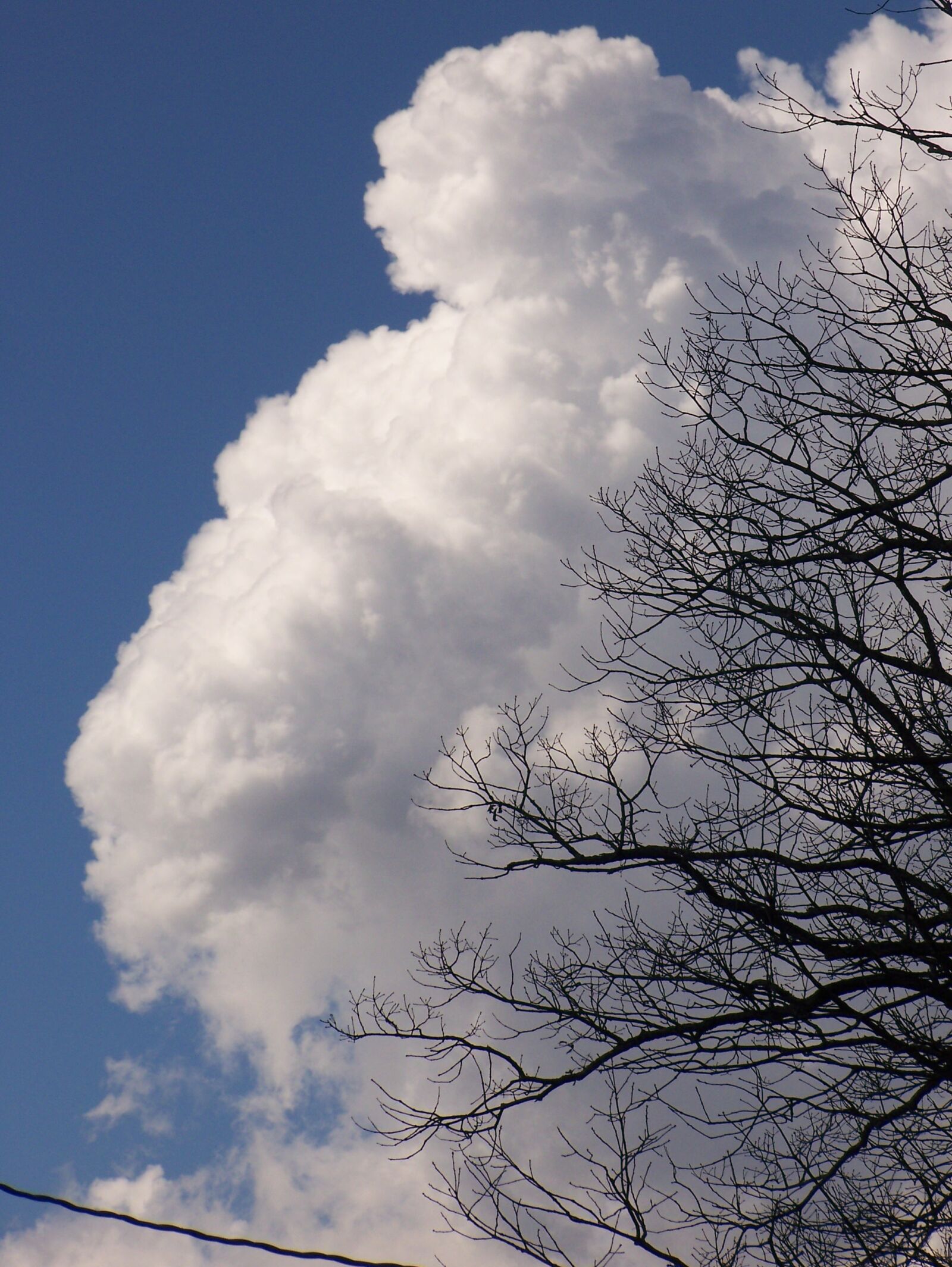 Kodak Z612 ZOOM DIGITAL CAMERA sample photo. Cloud, white, weather photography