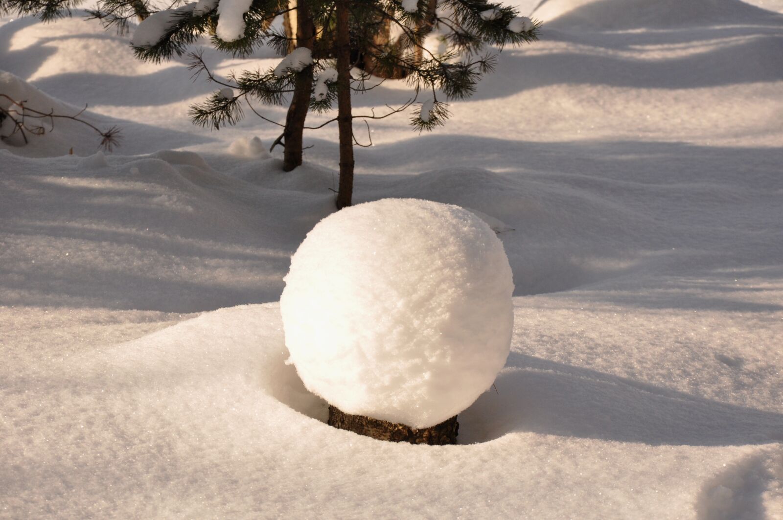 Nikon D90 sample photo. Winter, snow photography