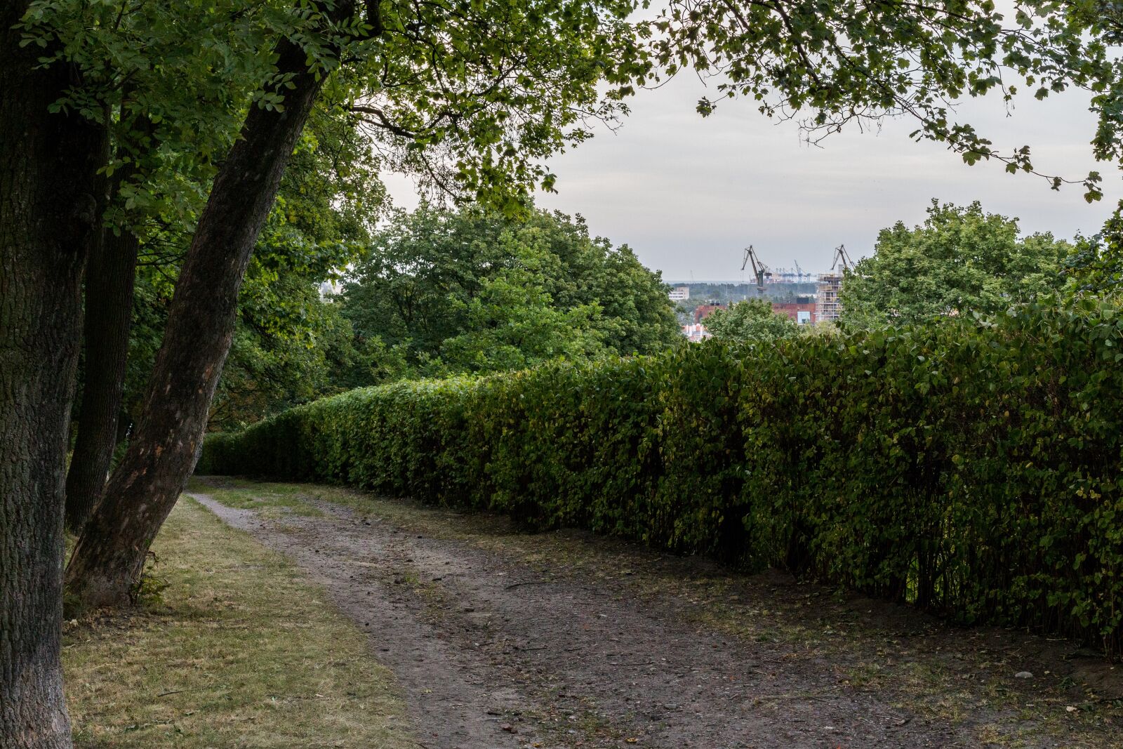 Canon EOS 6D + Canon EF 50mm F1.4 USM sample photo. Gdansk, gora, gradowa, park photography