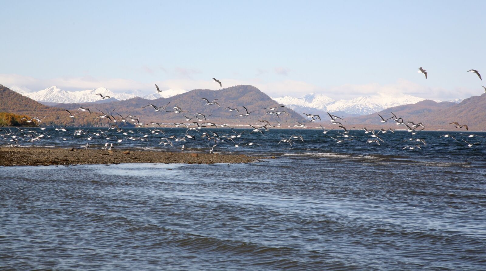 Canon EOS 5D sample photo. The pacific ocean, coast photography