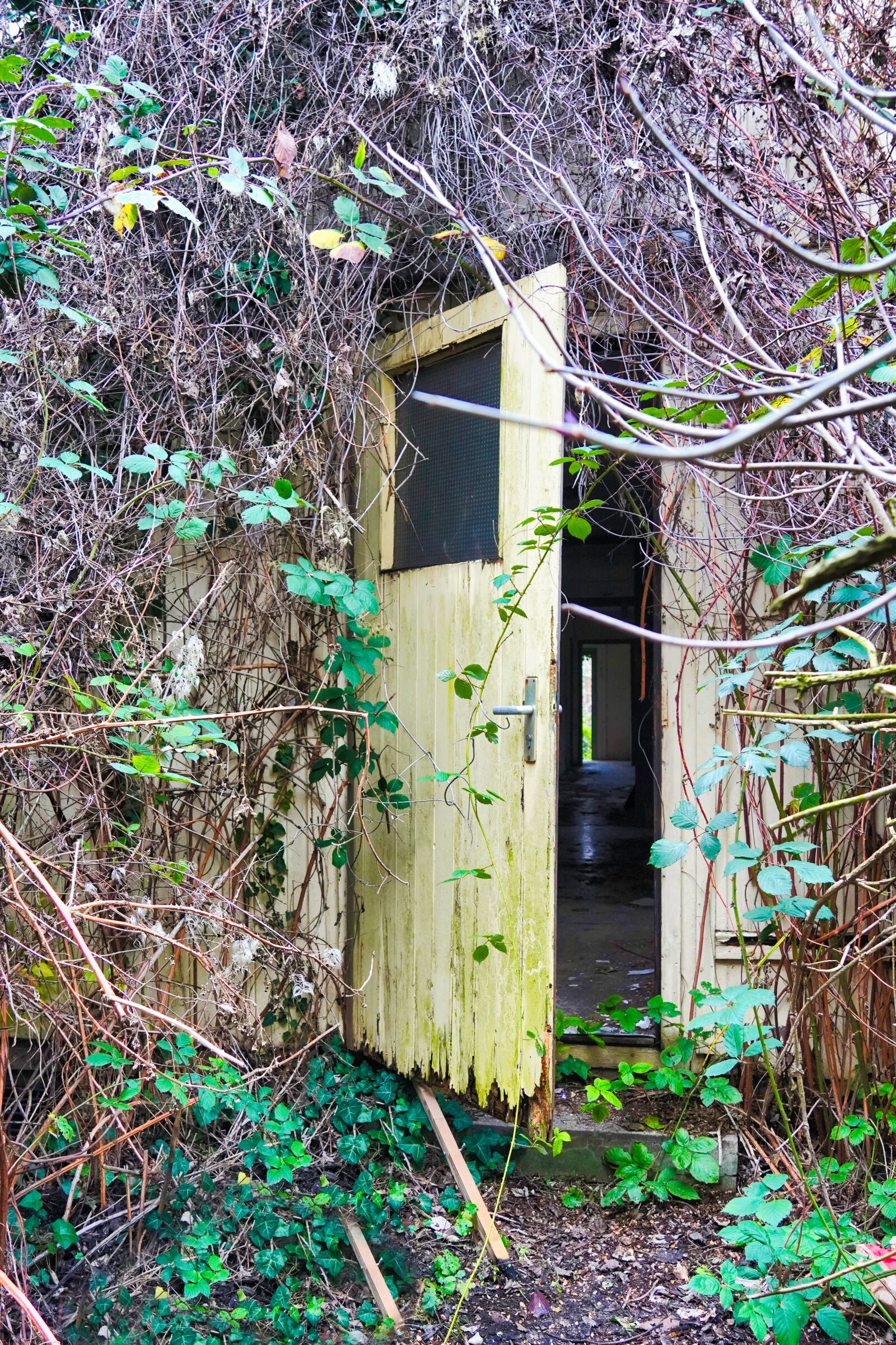 Sony a6400 sample photo. Old door, abandoned place photography