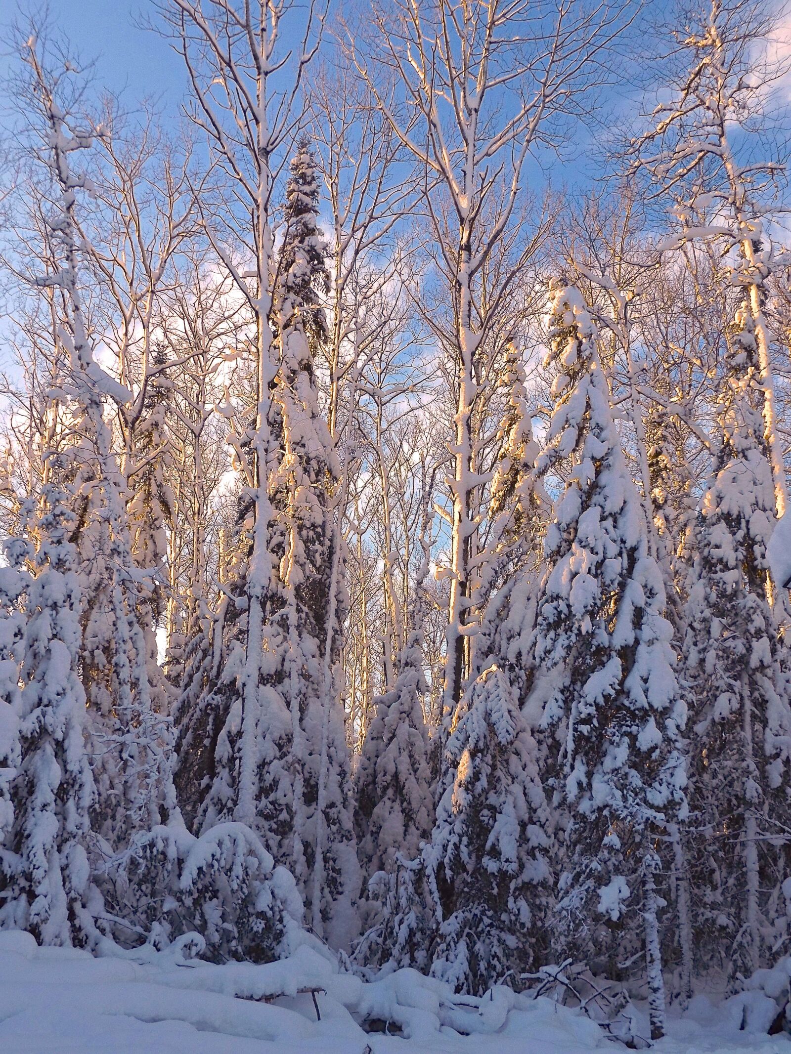 Fujifilm FinePix S8600 sample photo. Winter, snow, cold photography