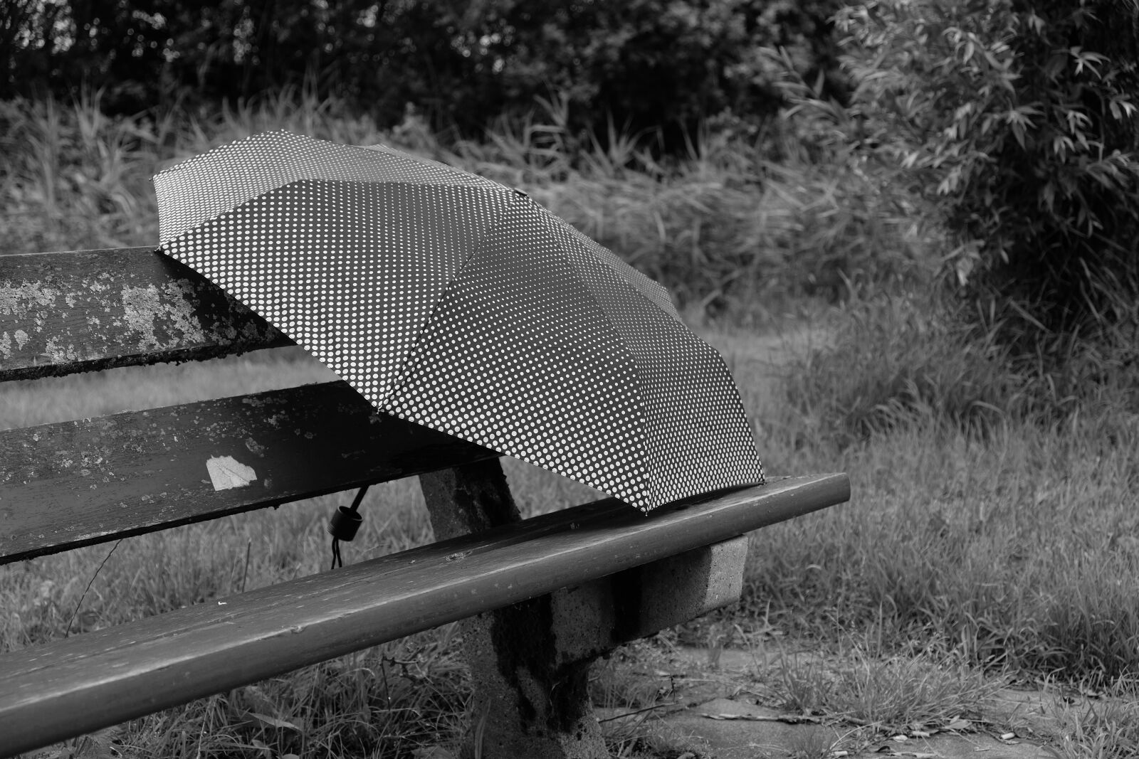 Fujifilm XF 18-55mm F2.8-4 R LM OIS sample photo. Bank, wooden bench, sit photography