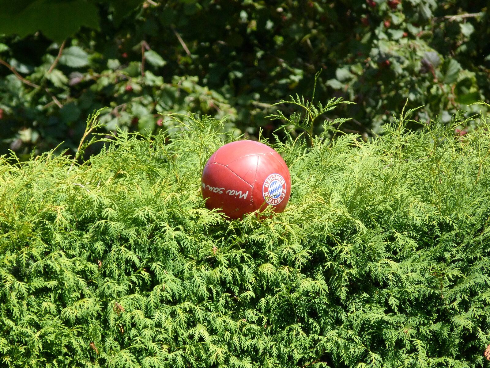 Panasonic Lumix DMC-FZ40 (Lumix DMC-FZ45) sample photo. Ball, football, red photography