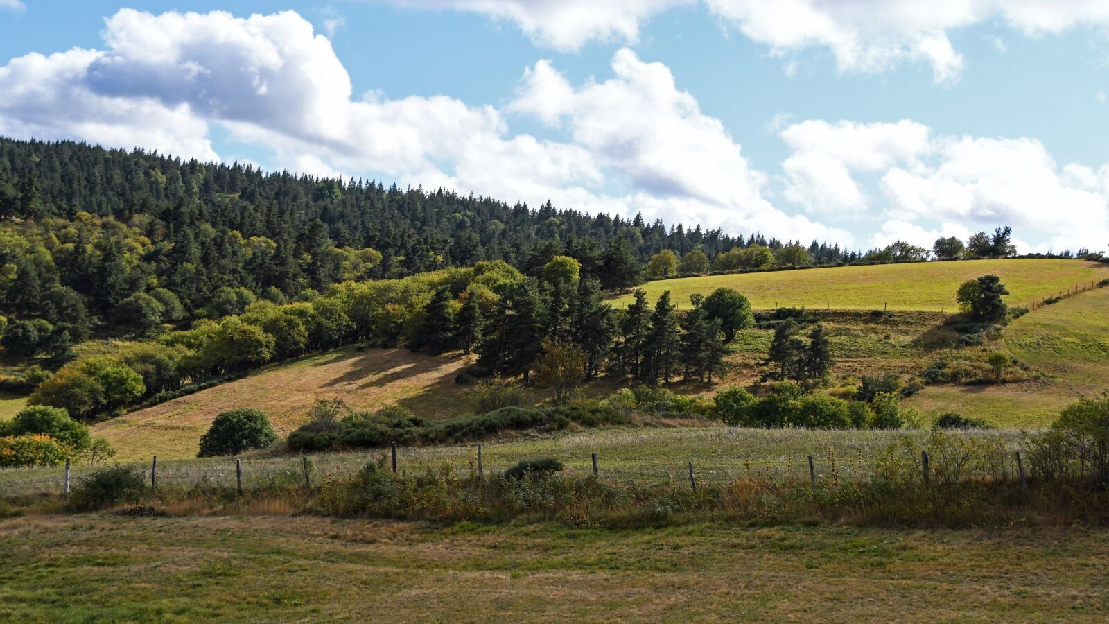 Nikon D500 sample photo. Field, agriculture, landscape photography