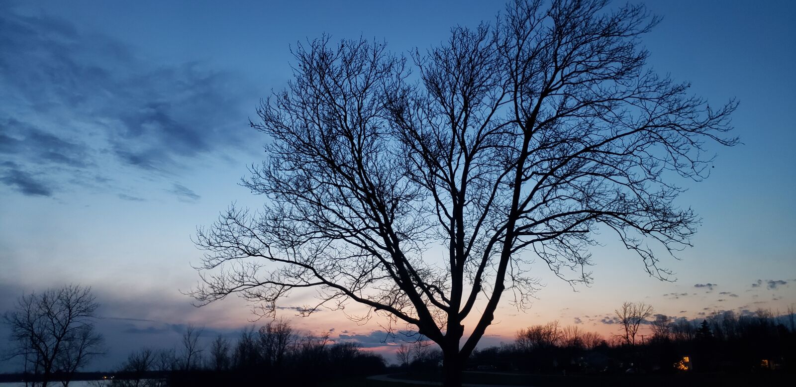 Samsung Galaxy S9+ sample photo. Sunset, river, tree photography