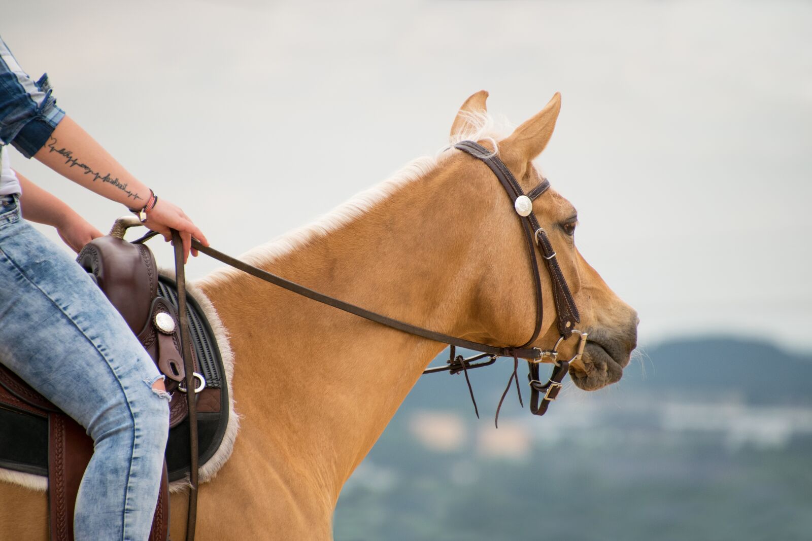 Nikon D3300 sample photo. Horse, western, ride photography