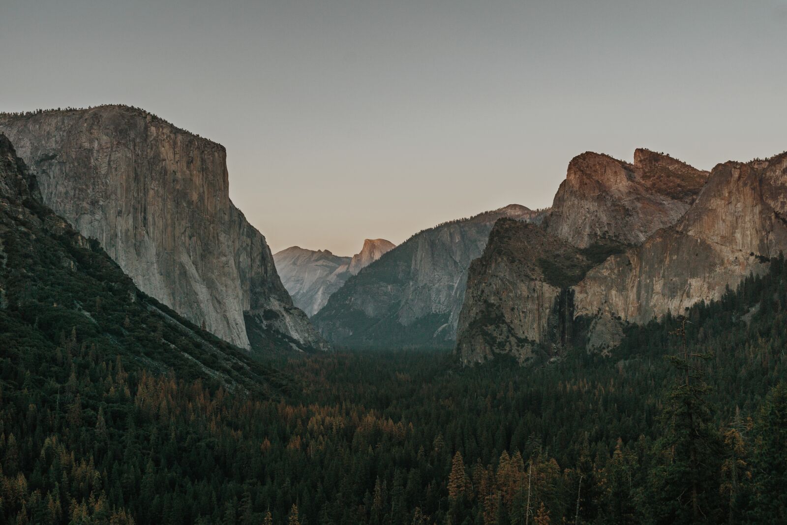 Sony FE 28mm F2 sample photo. Cliff, conifers, dawn photography