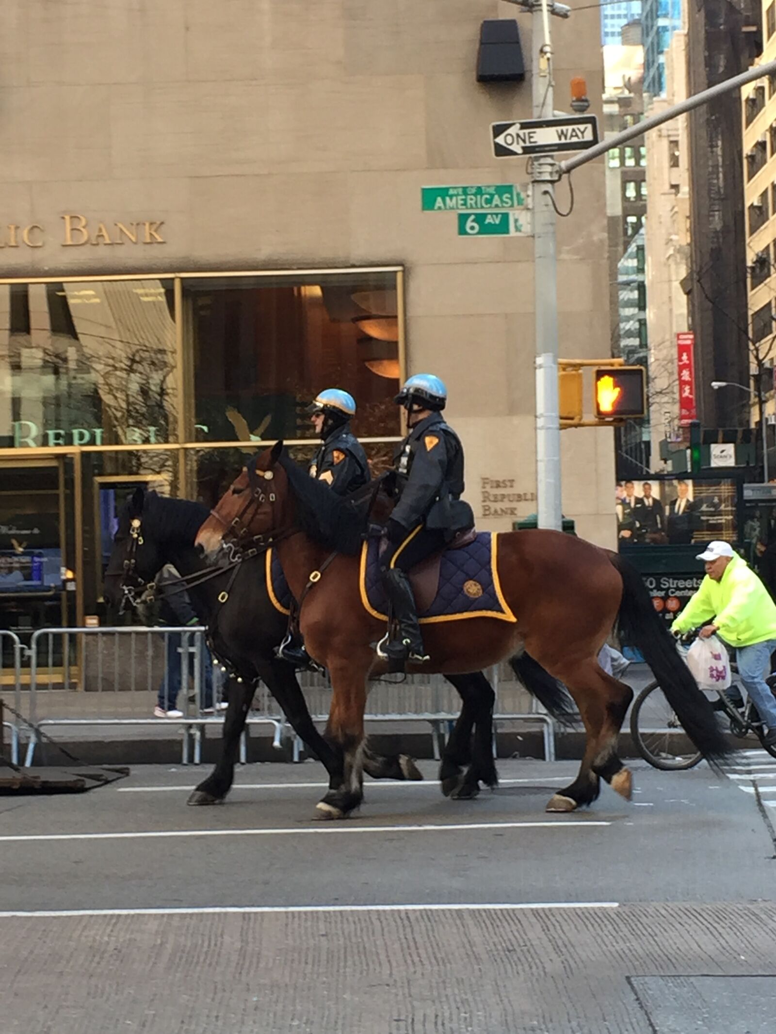 iPhone 6 Plus back camera 4.15mm f/2.2 sample photo. Horses, new, york, city photography