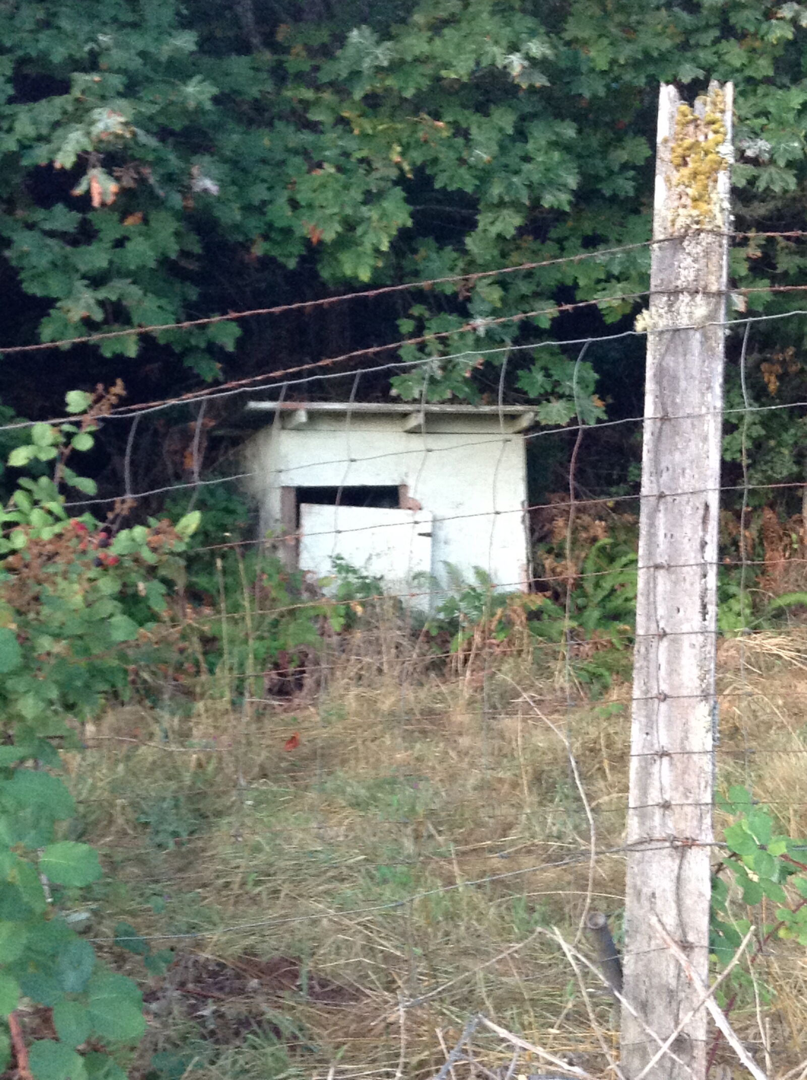 Apple iPod touch sample photo. Wire, fence photography