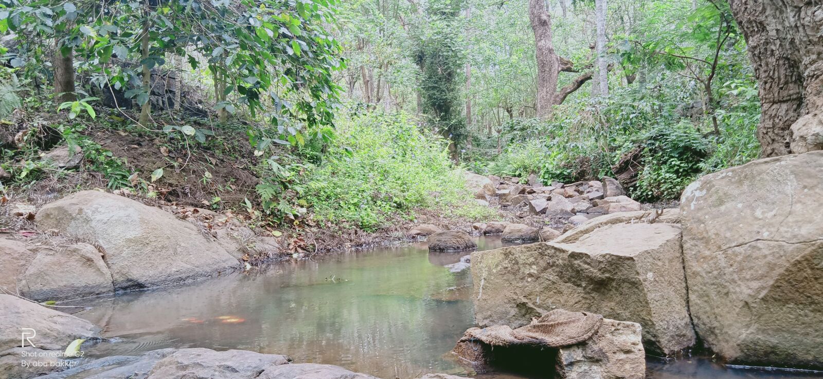 Realme C2 sample photo. Forest, nature, river photography