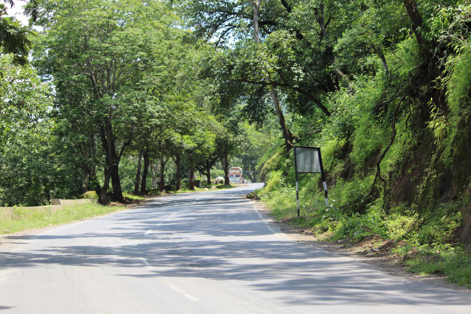 Canon EF-S 55-250mm F4-5.6 IS II sample photo. Roads, to, india photography