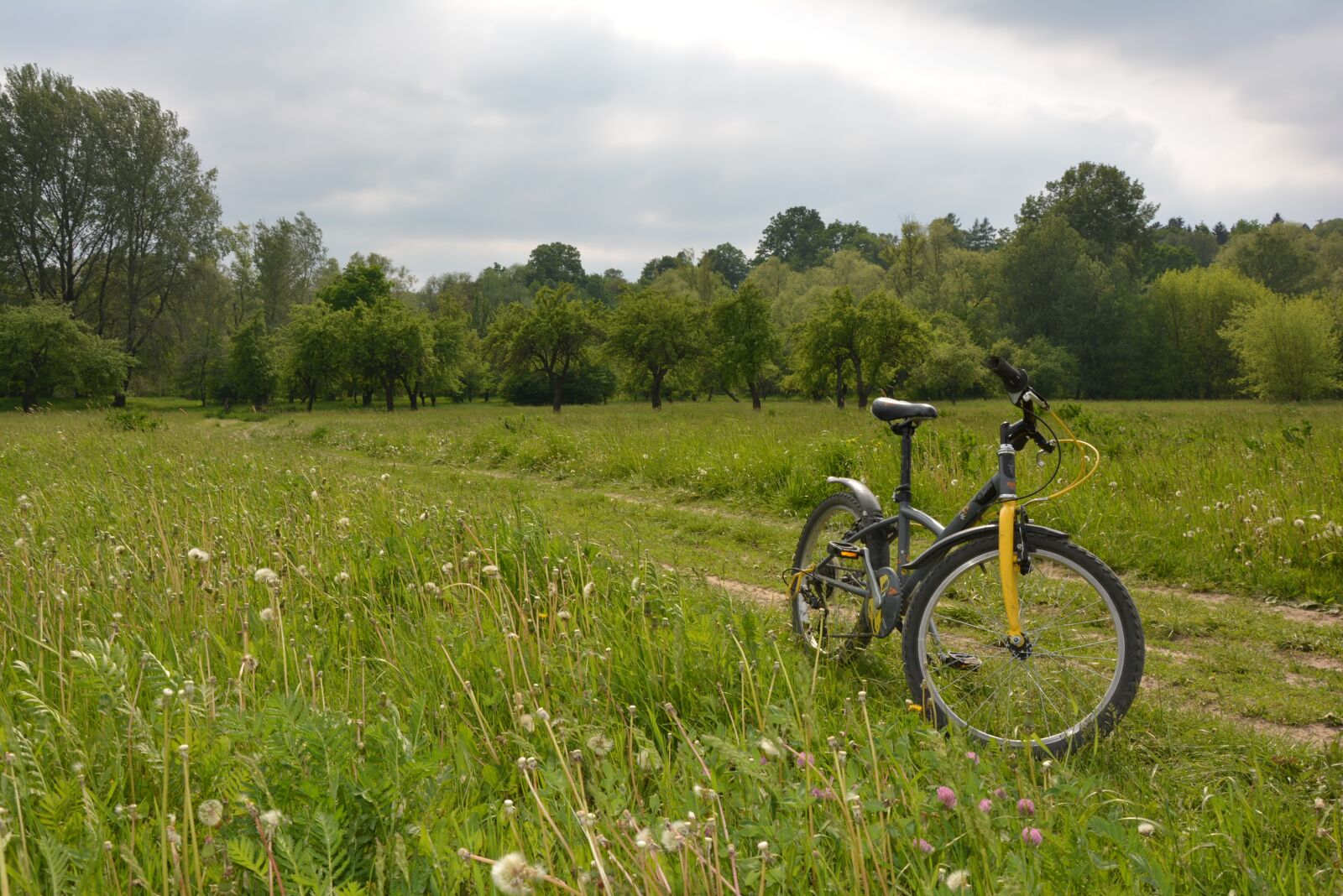 Nikon D5200 sample photo. Bike, by bike, bicycles photography