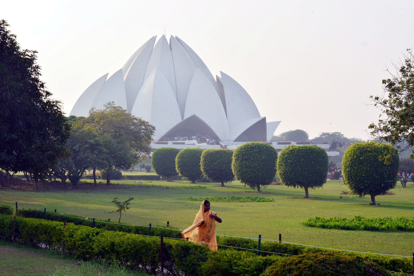 Nikon D7100 sample photo. India, temple, lotus photography