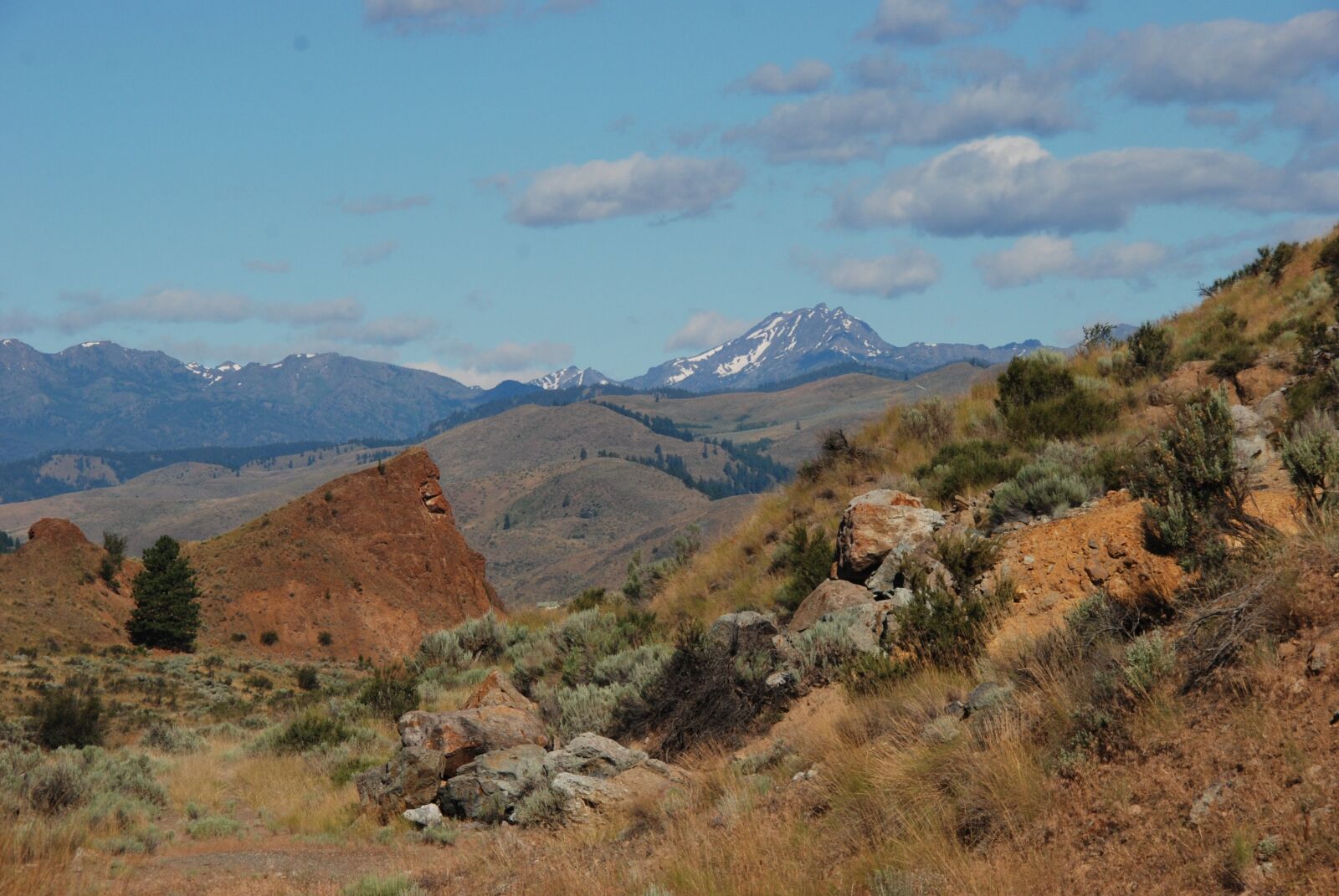 Nikon D80 sample photo. Nature, america, washington state photography