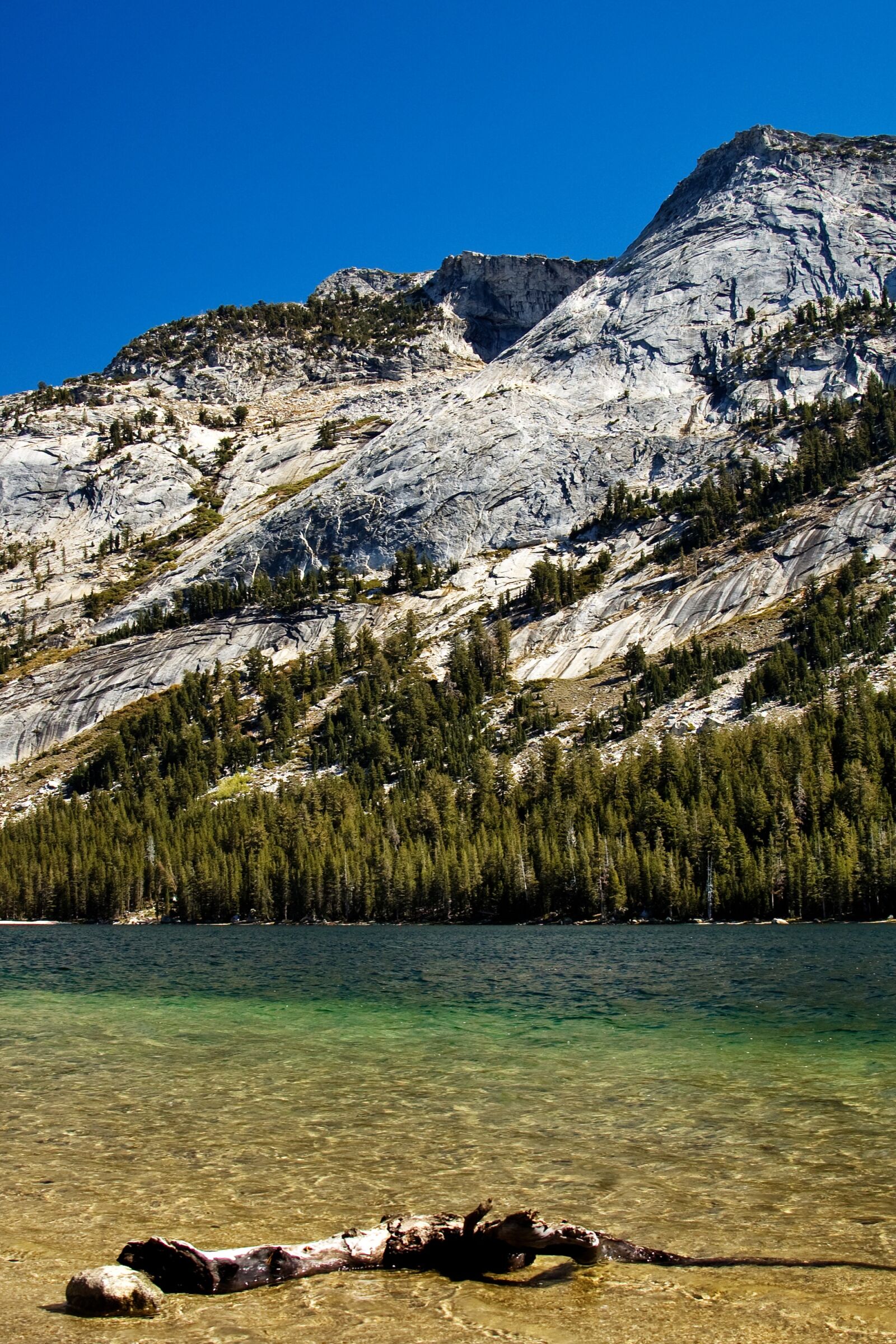 Nikon D50 sample photo. Yosemite, national park, california photography