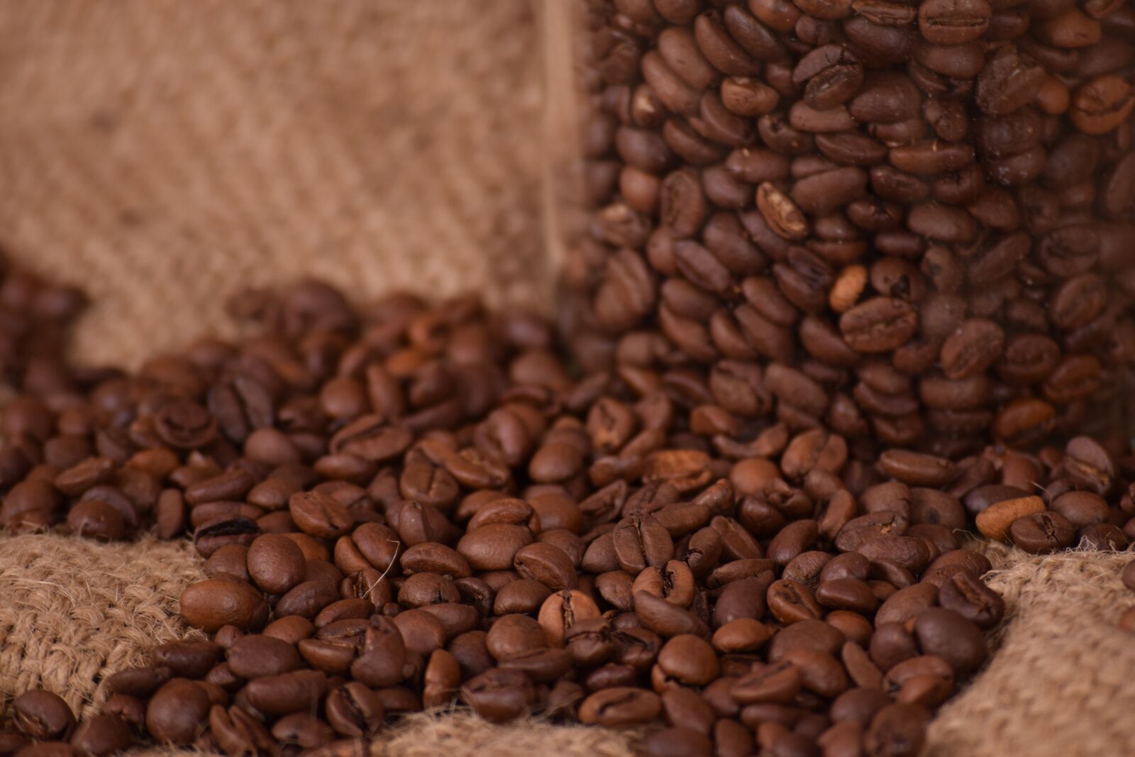 Nikon D3300 sample photo. Coffee, caffeine, seed photography