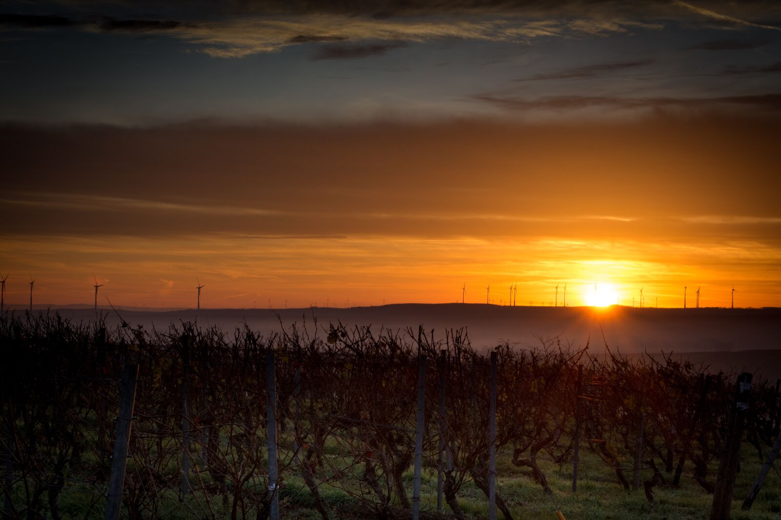 Nikon D7200 sample photo. Rheinhessen, sunrise, wöllstein photography
