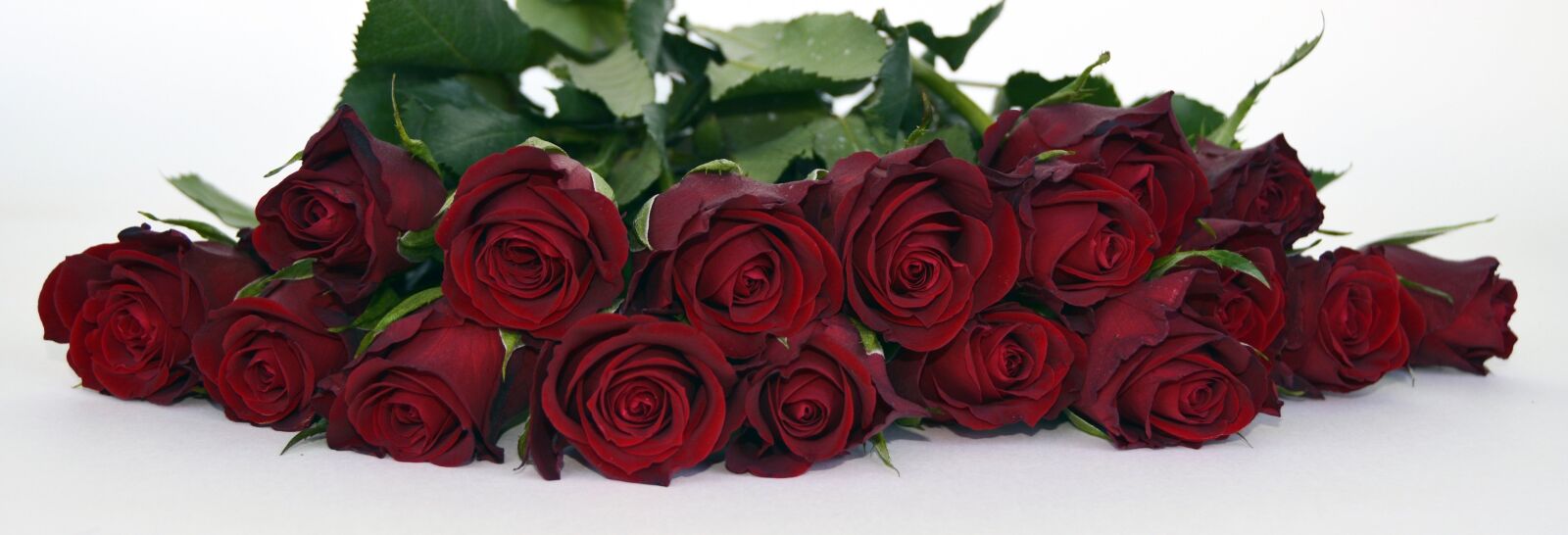 Nikon D7100 sample photo. Roses, bouquet of roses photography
