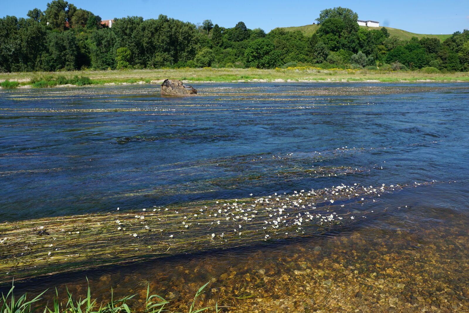 Sony DT 16-50mm F2.8 SSM sample photo. Danube, river, water photography