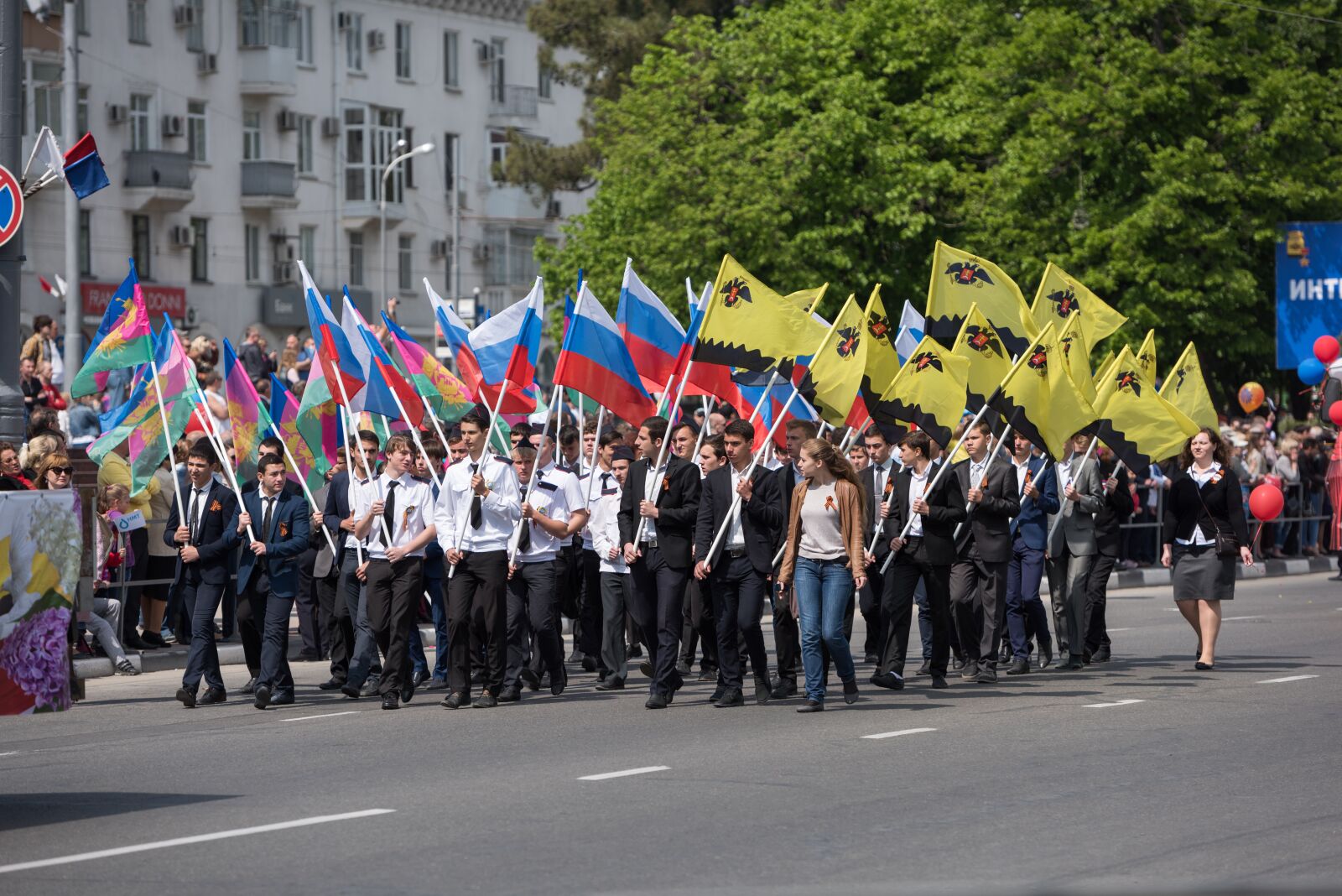 Nikon D810 sample photo. Parade, flag, crowd photography