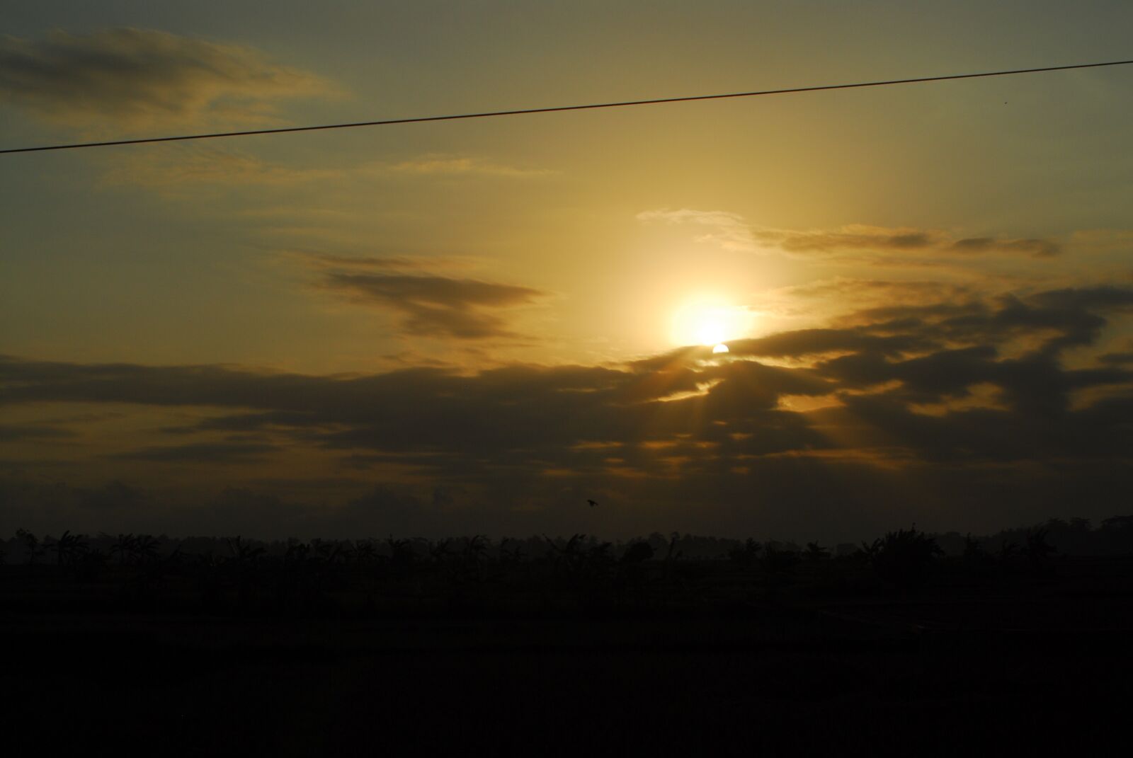 Nikon D200 sample photo. Sun, sorrow, distrust photography
