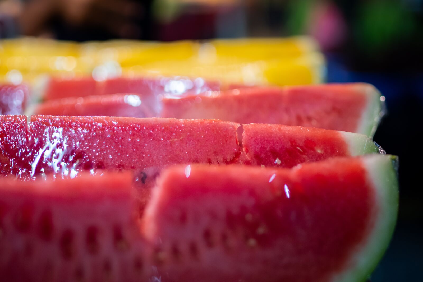 Nikon D500 sample photo. Red, yellow, color photography