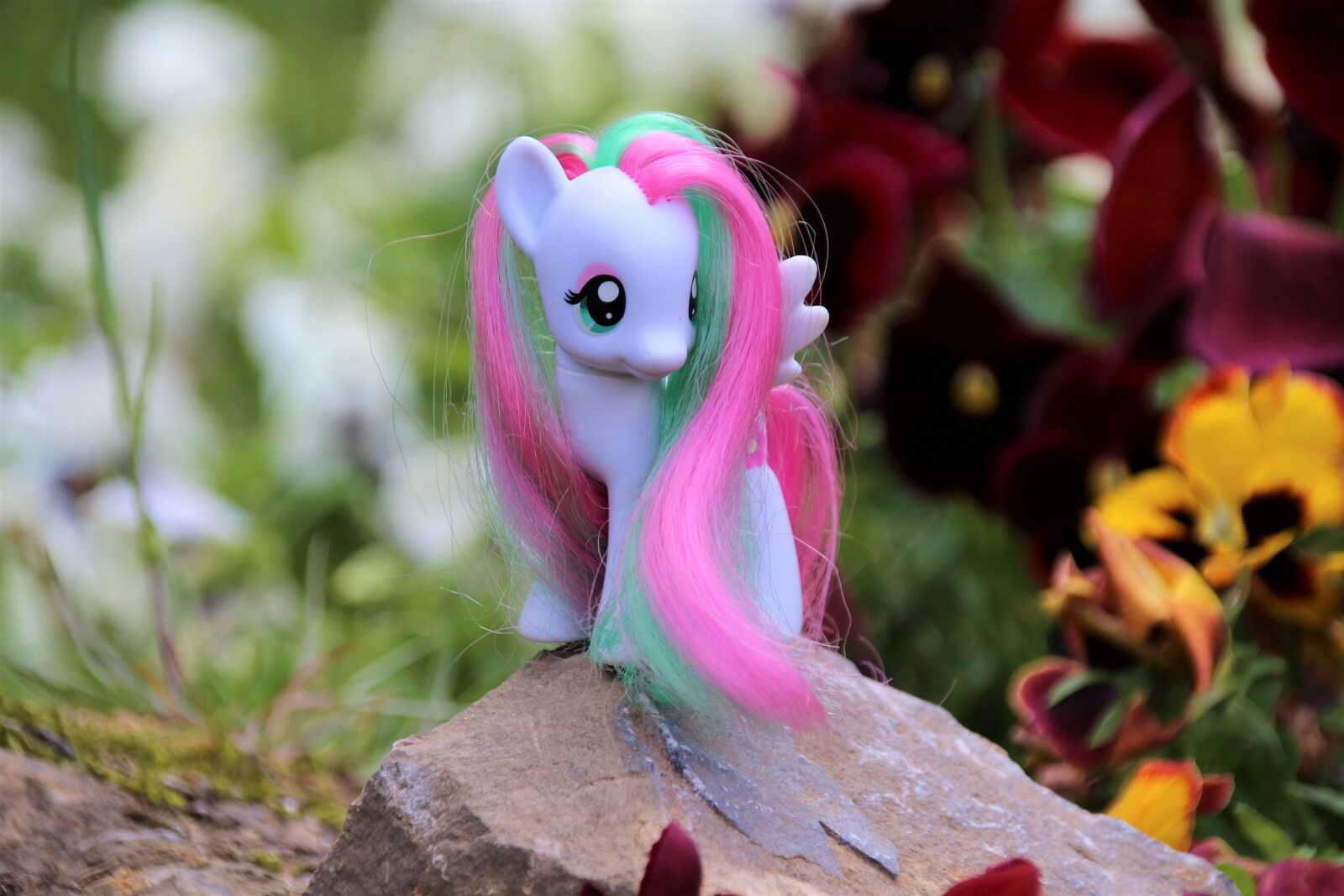 Canon EOS 700D (EOS Rebel T5i / EOS Kiss X7i) sample photo. My little pony, toys photography