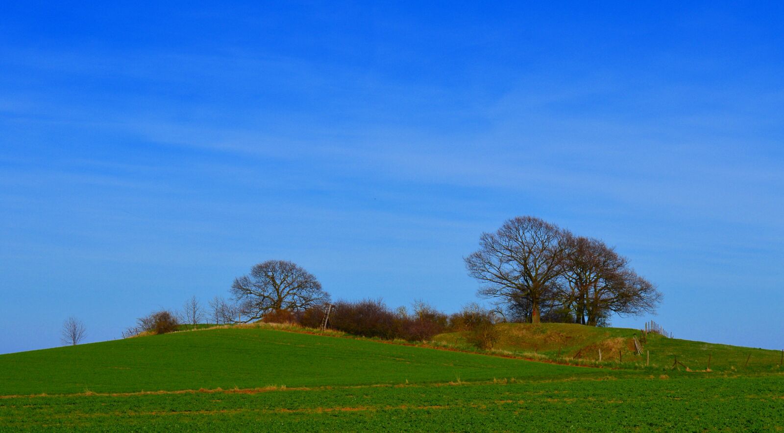 Nikon D3200 sample photo. Meadow, green, grass photography